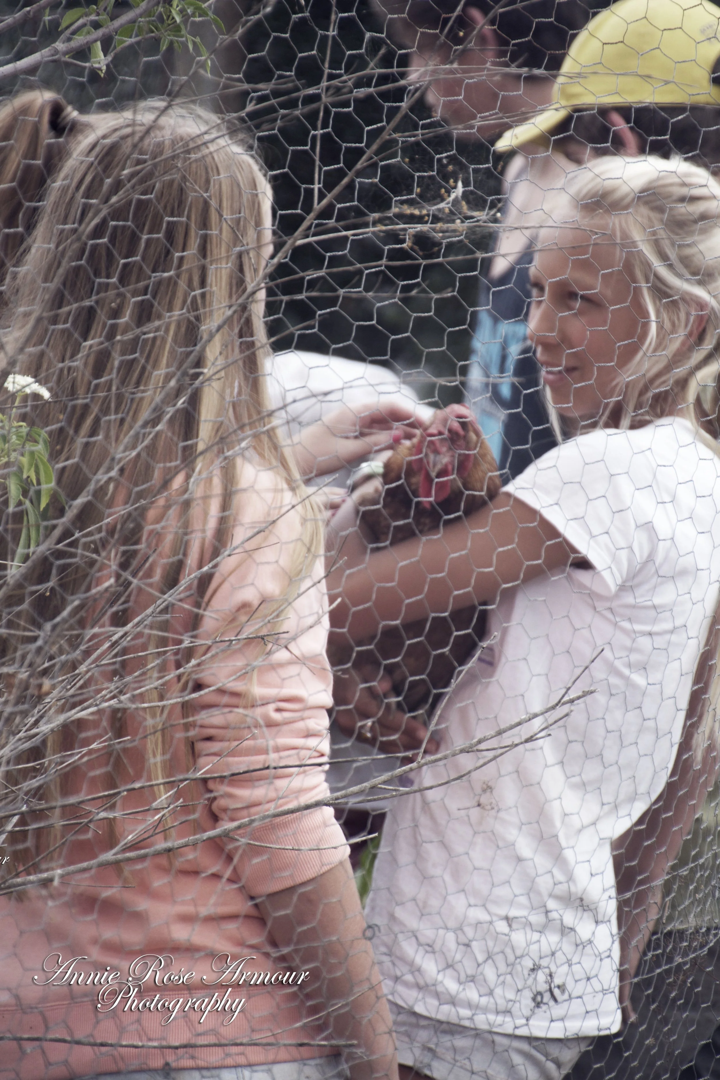 Two children, a girl with long blonde hair and another girl with short blonde hair, are holding a chicken. The Regenerative Training Centre, Woodford, Qld.
