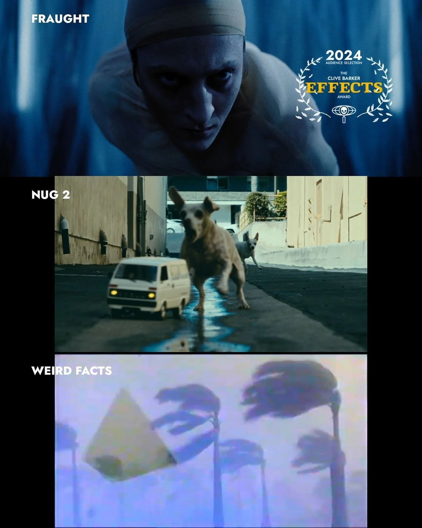 And the award goes to&hellip;

Fraught

&ldquo;Fraught&rdquo; received the audience&rsquo;s &ldquo;Effects&rdquo; award.

&ldquo;Nug 2&rdquo; and &ldquo;Weird Facts&rdquo; were close behind with the 2nd and 3rd most audience votes.