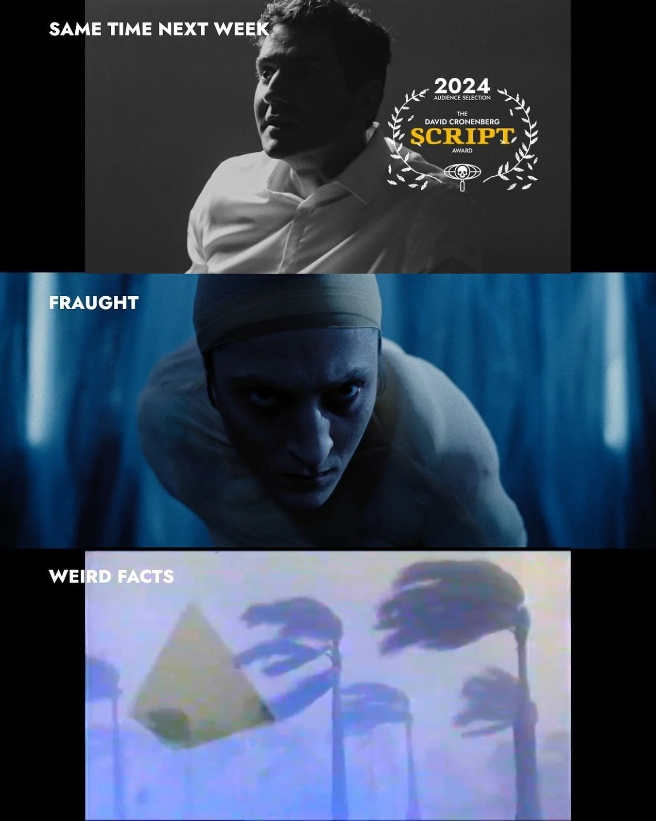 And the award goes to&hellip;

Same Time Next Week

&ldquo;Same Time Next Week&rdquo; received the audience&rsquo;s &ldquo;Script&rdquo; award.

&ldquo;Fraught&rdquo; and &ldquo;Weird Facts&rdquo; were close behind with the 2nd and 3rd most audience 