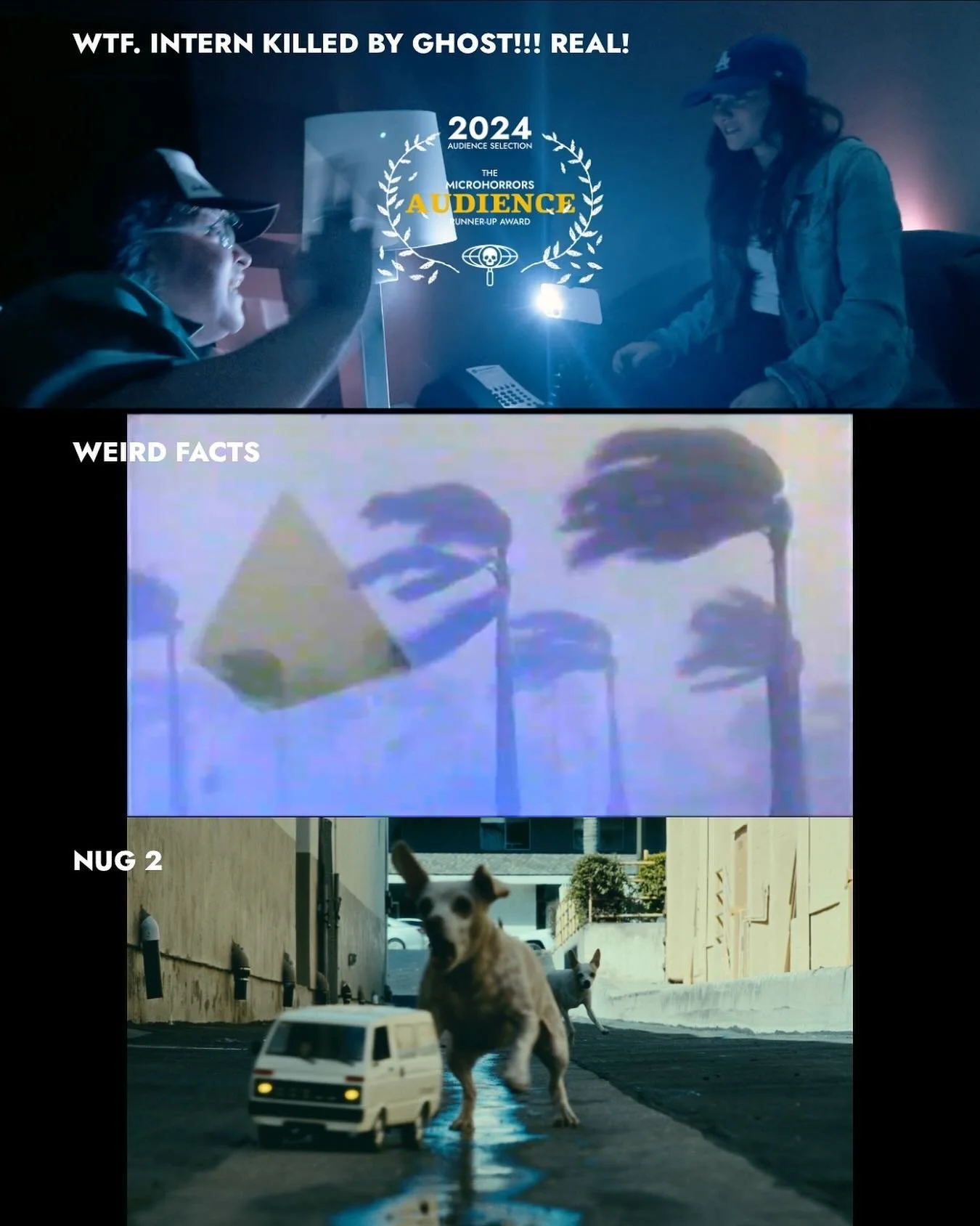 And the award goes to&hellip;

WTF! INTERN KILLED BY GHOST!!! REAL!

&ldquo;WTF! INTERN KILLED BY GHOST!!! REAL!&rdquo; received the &ldquo;Audience Runner-up&rdquo; award. This was the audience&rsquo;s second favorite MH short of 2024. 

&ldquo;Weir