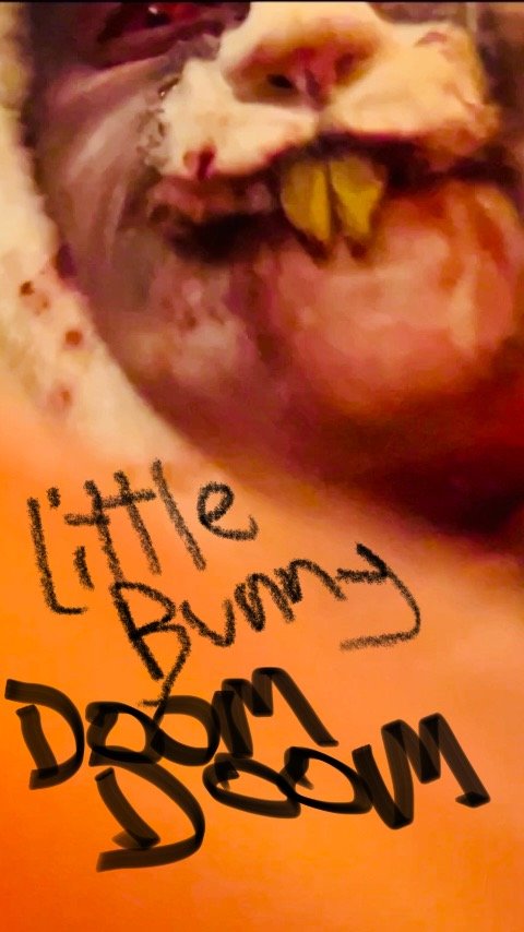 Little Bunny Doom Doom.jpg
