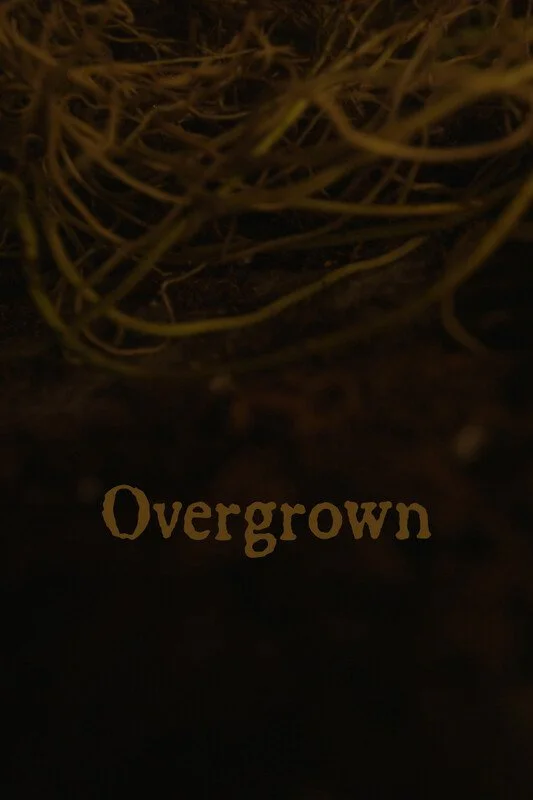 Overgrown.jpg