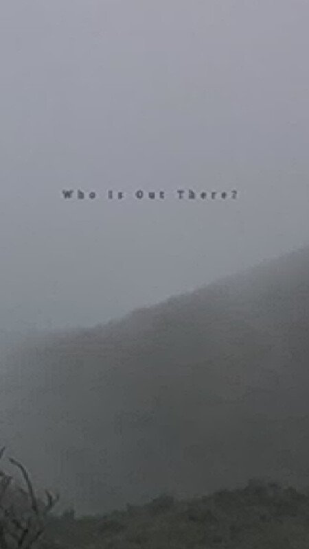Who is out there?.jpg