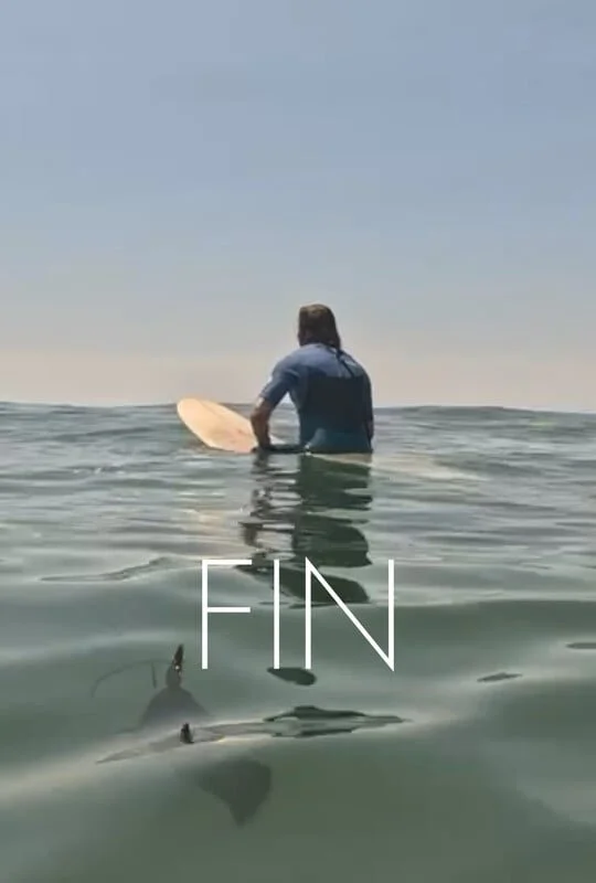 FIN.jpg