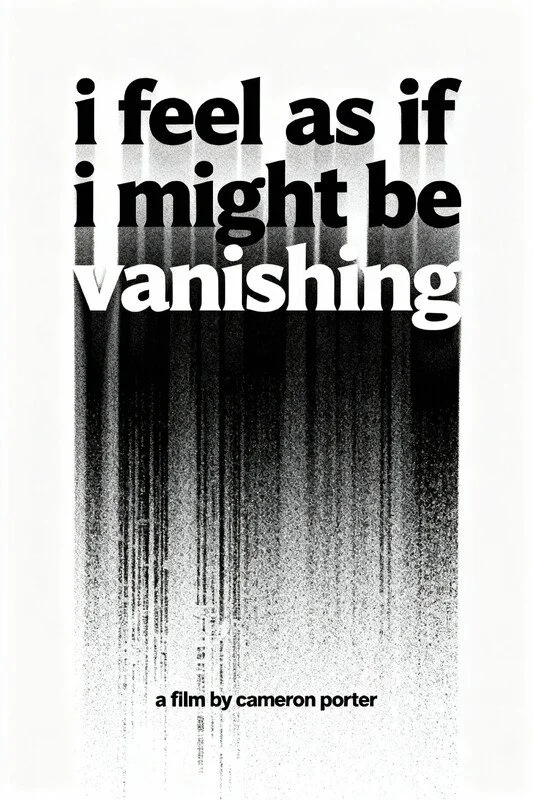 I feel as if I might be vanishing.jpg