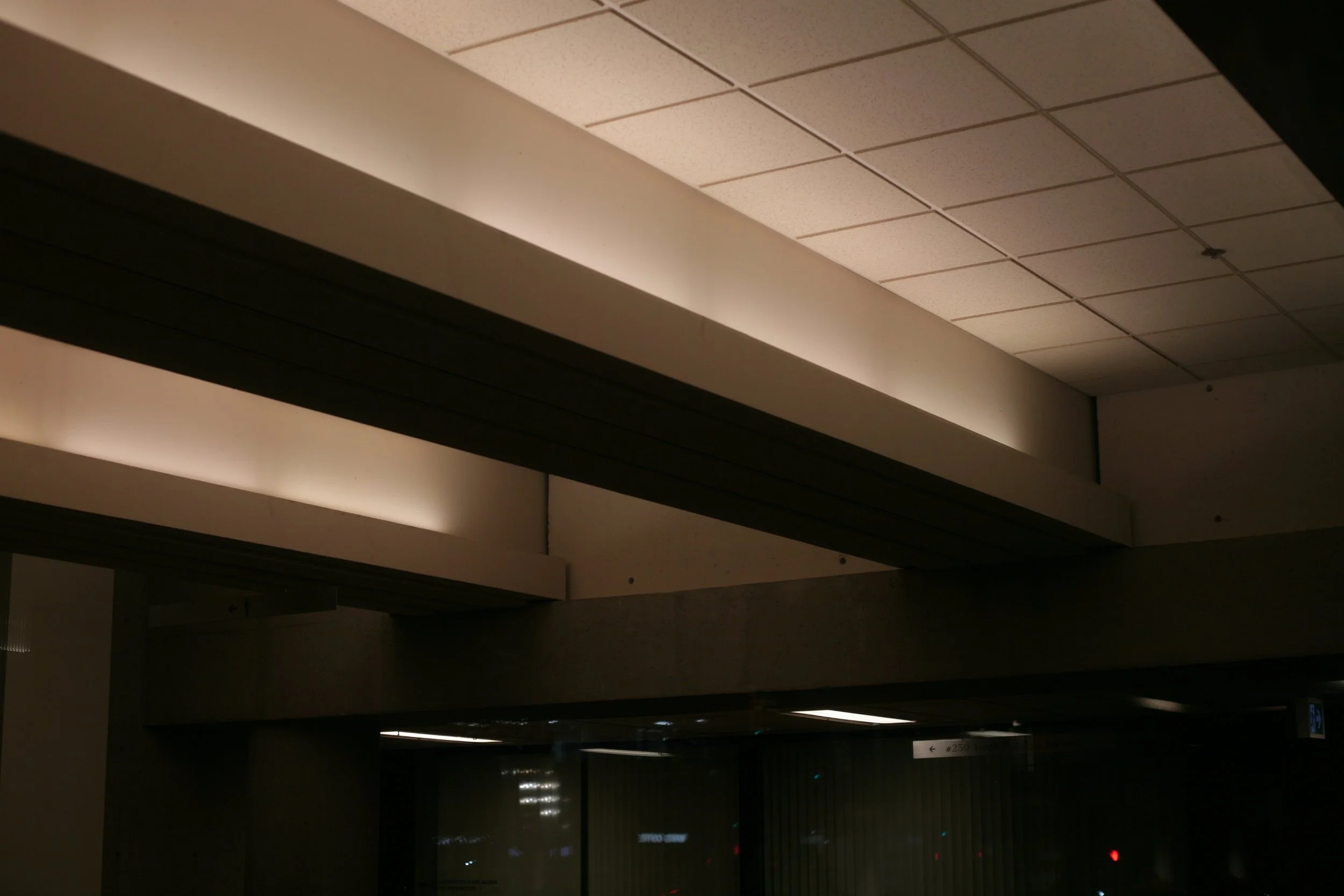 Canon EOS 5D Mark1 unedited
