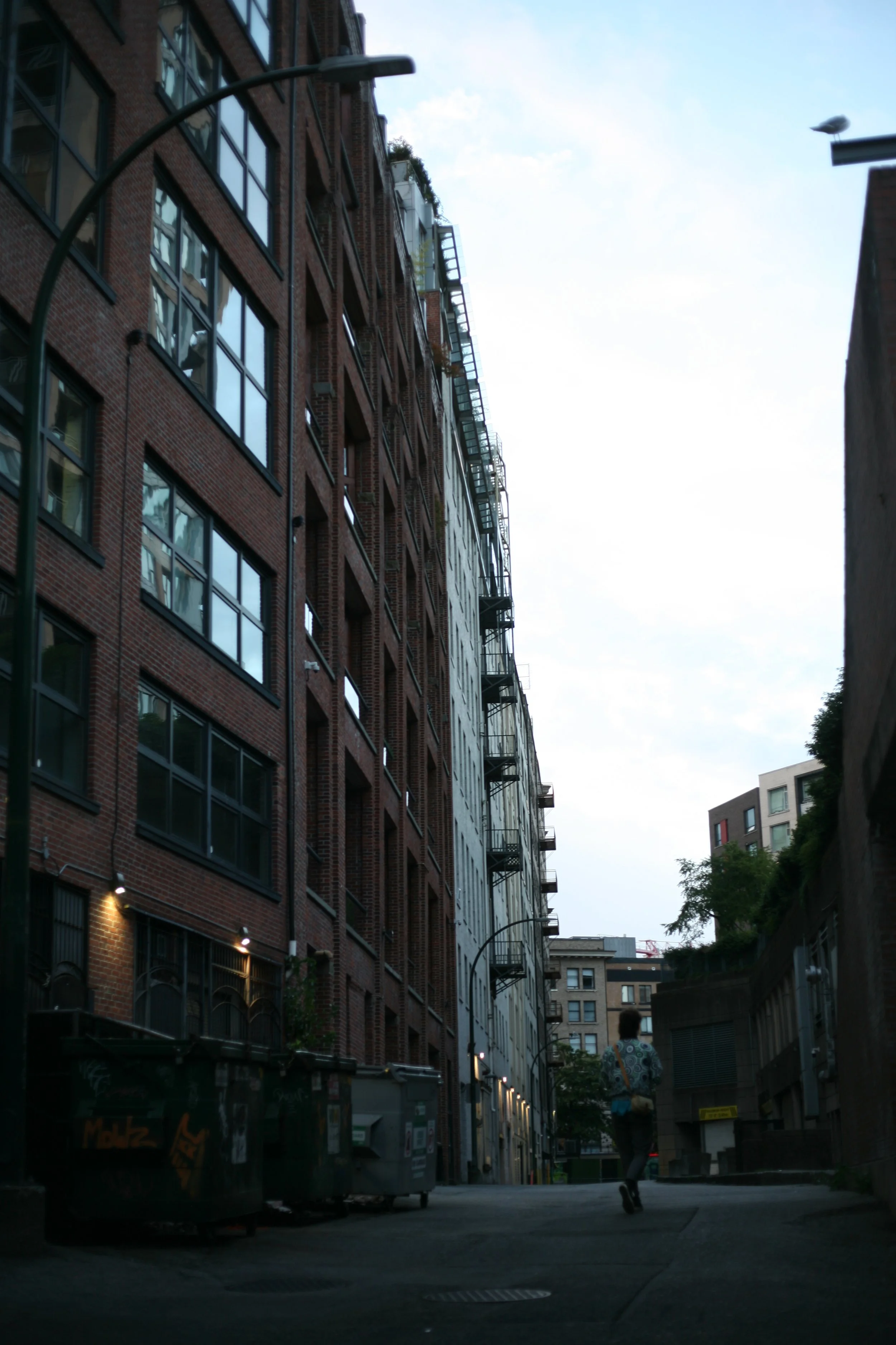Canon EOS 5D Mark1 unedited