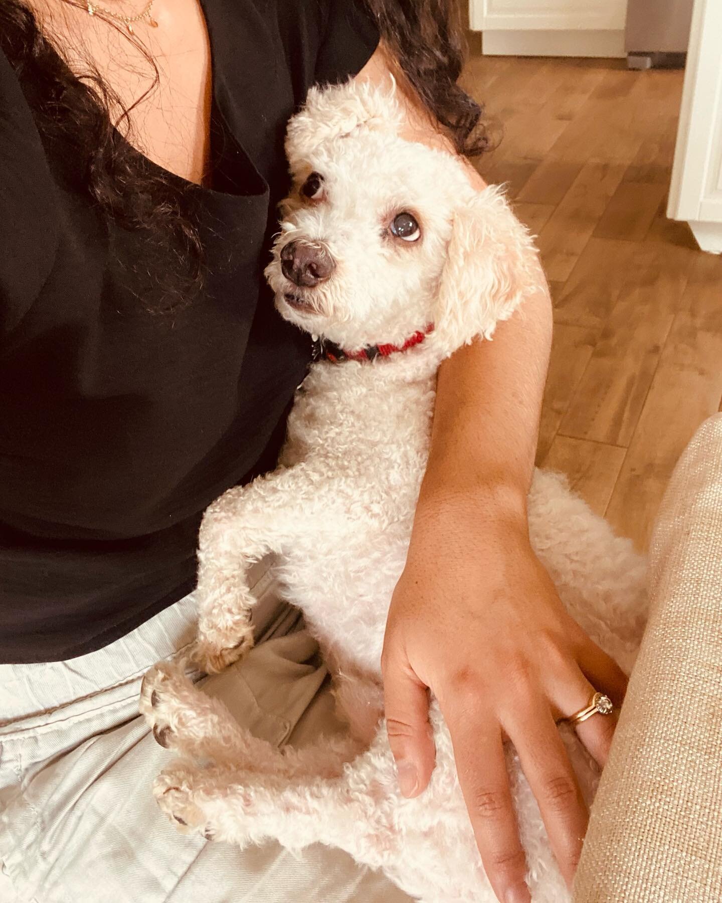 Furry friends are the absolute best buds🐶. The love I get from them is so special and they can make any shitty day better🥹. 

Comment below if you are a dog 🐩 or a cat 🐈 person&hellip; 

#doglover #dogperson #catperson #pets #furryfriends #bestbu
