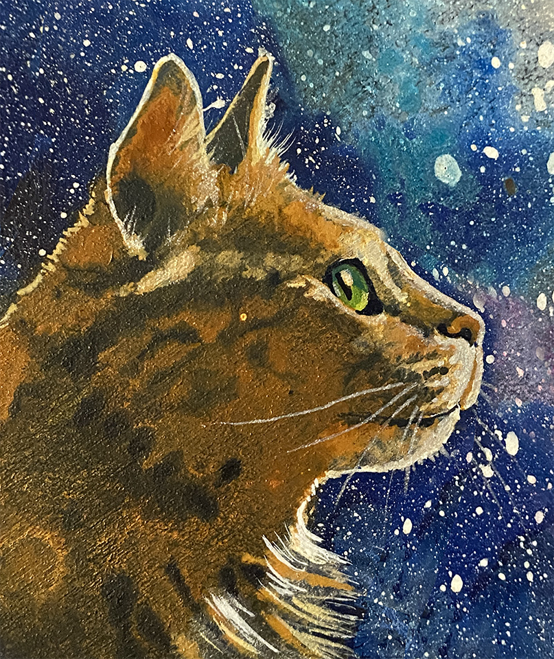 Star Gazer detail.png