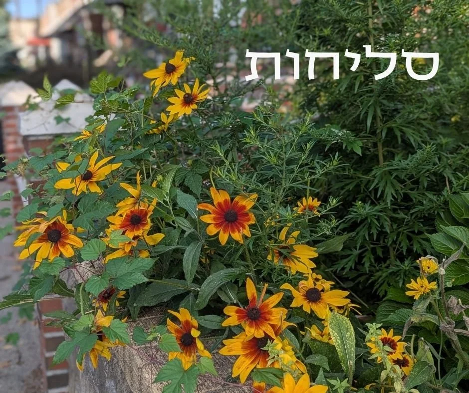 S’LICHOT/Havdalah/Music