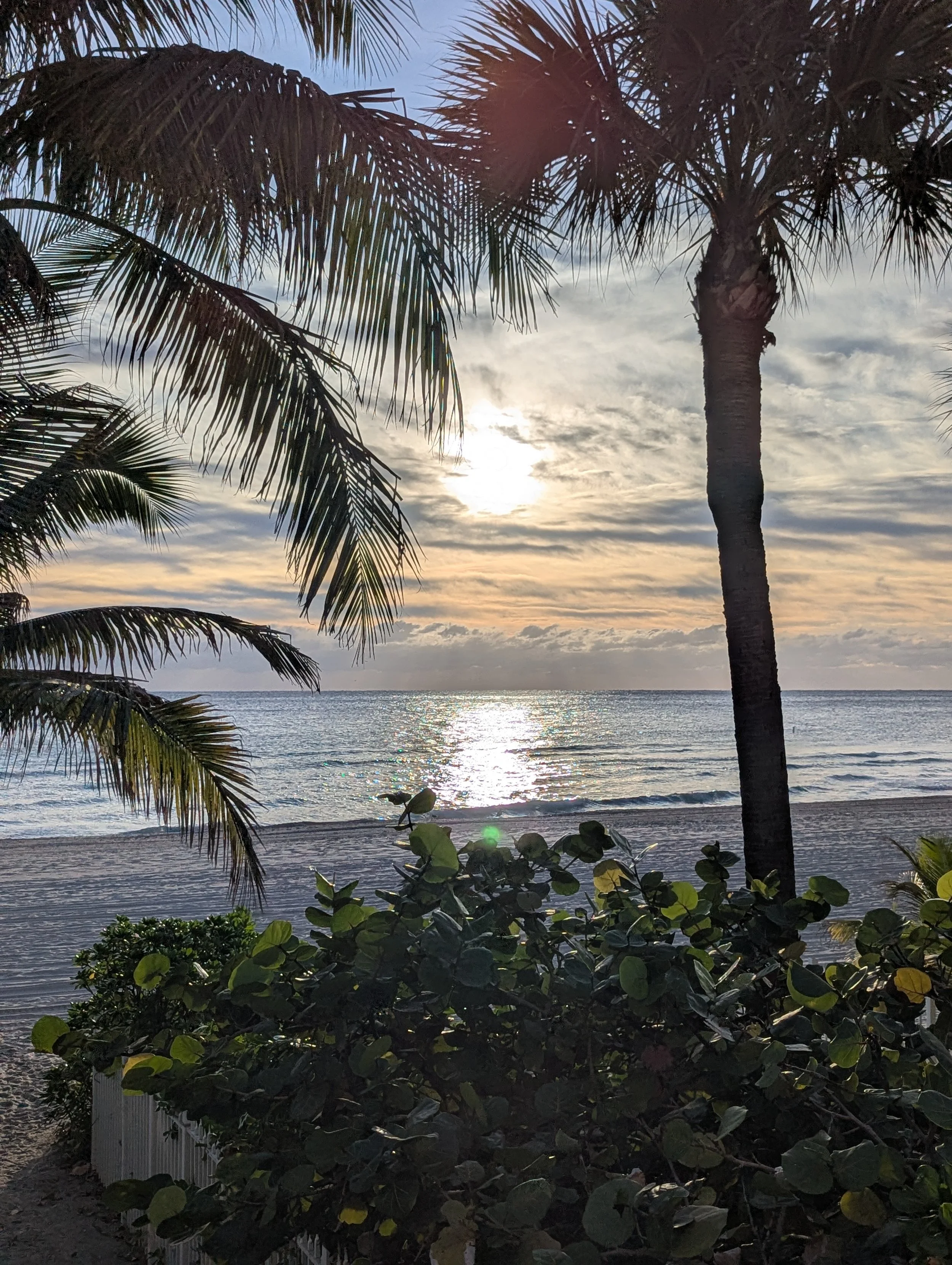 Shabbat Morning + MASKIT + TKIYA