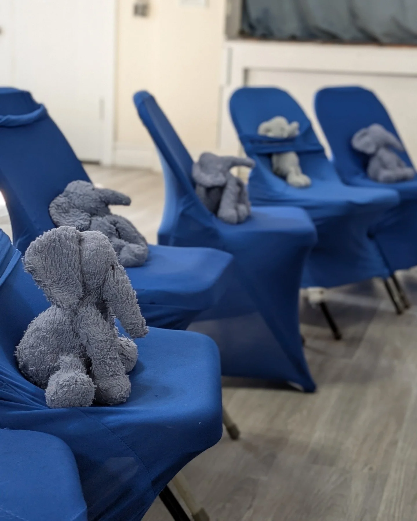 QUICK....get your seat for Shabbat Across America dinner before the Doudou family scoops them all up! 

Link in bio for tickets. Luckily, elephants don't have opposable thumbs.