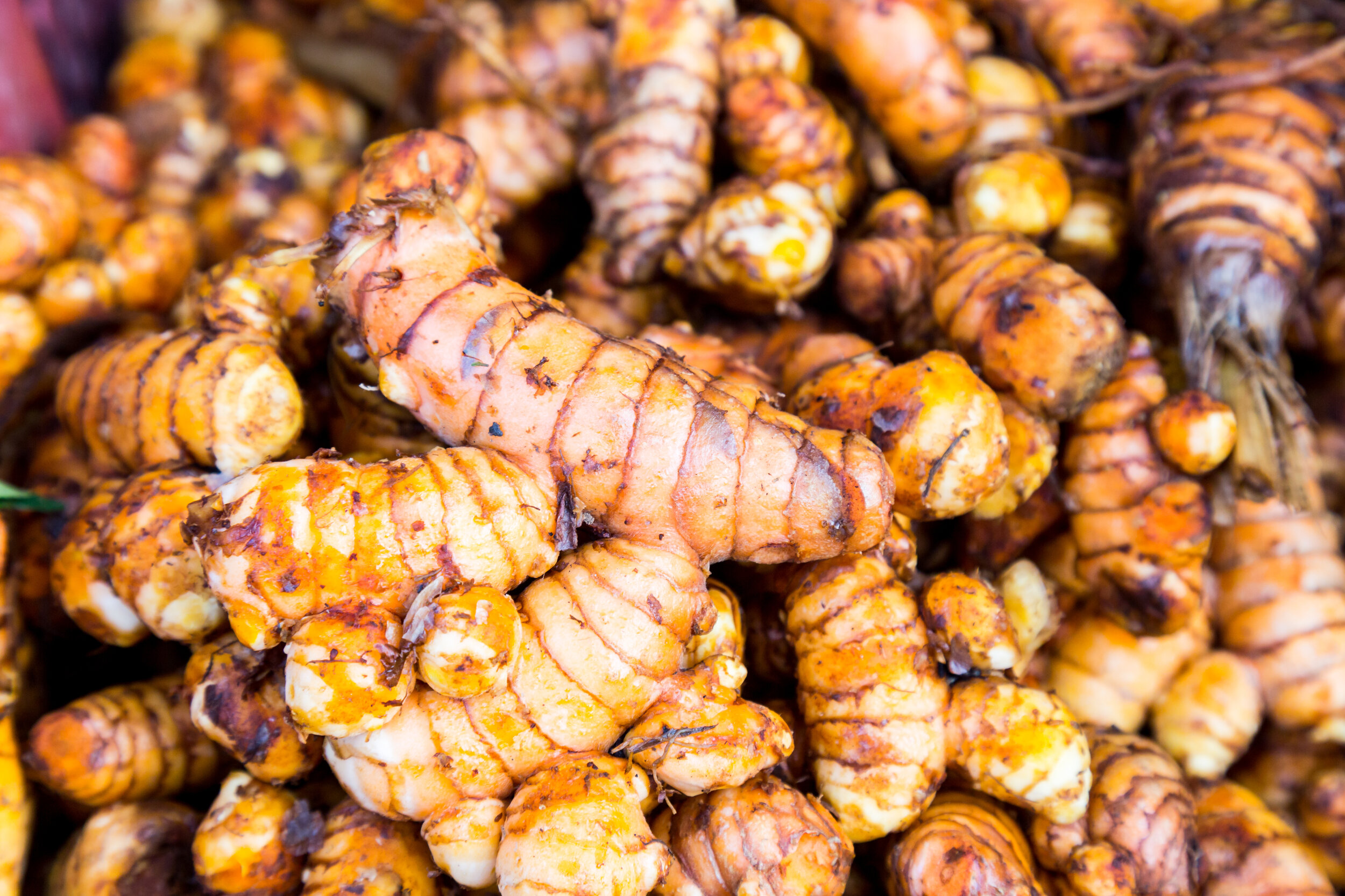 Turmeric Golden Spice Turkey Tail (Copy)