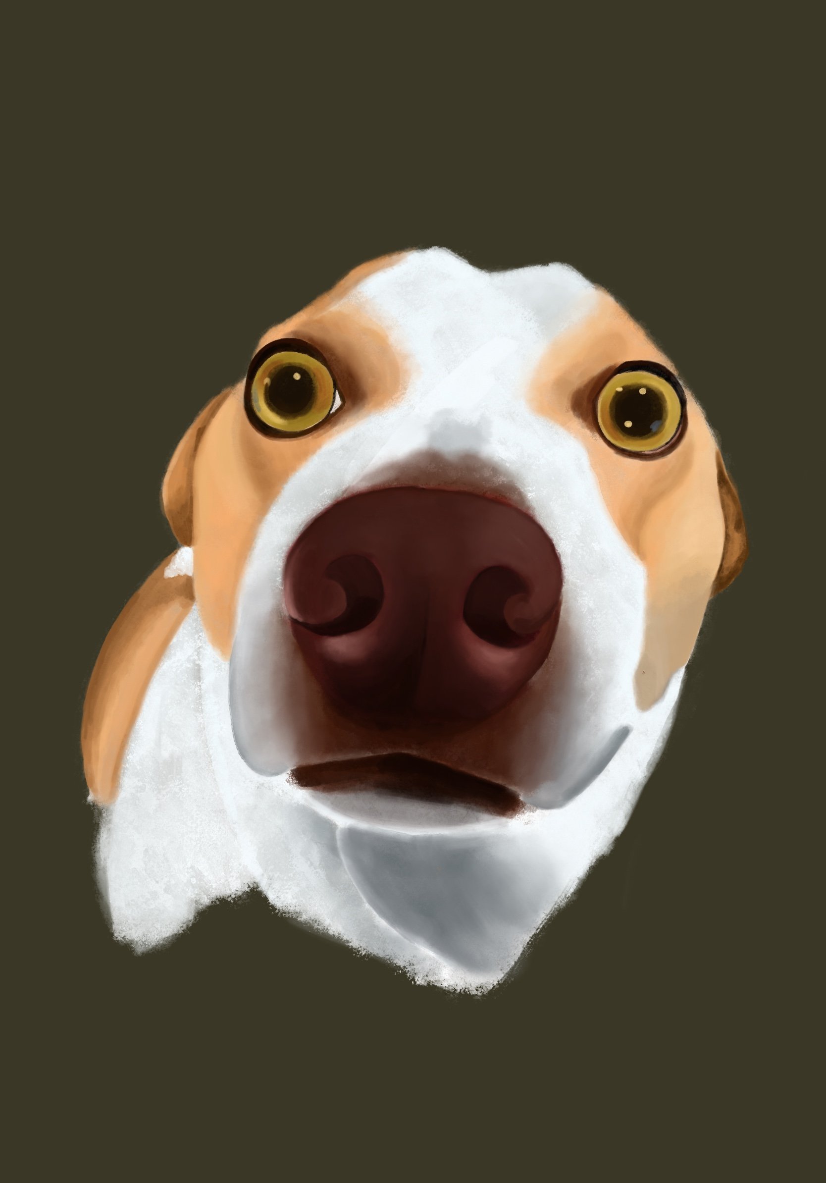 Wesley hand drawn in Procreate