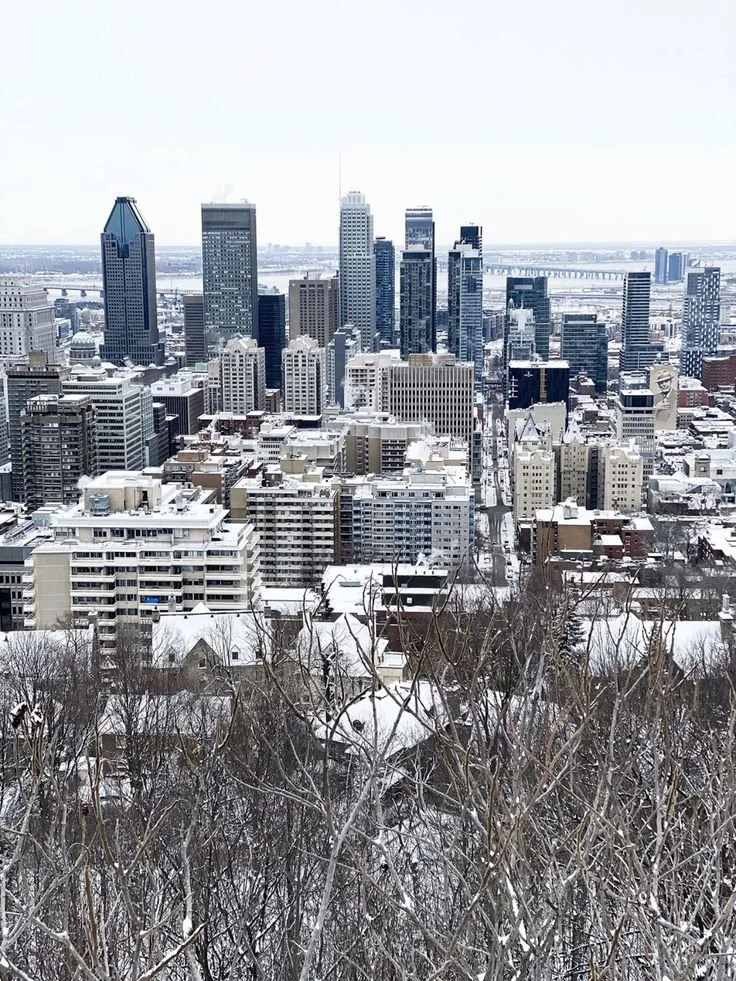 Quebec Real Estate Pulse — Friday, March 13, 2026