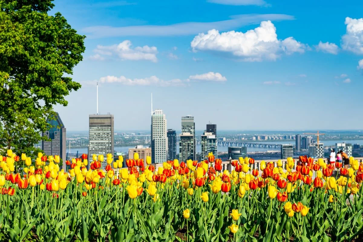 Hypothèque commerciale au Québec : ce que les investisseurs en multi-logements doivent savoir en mai 2026