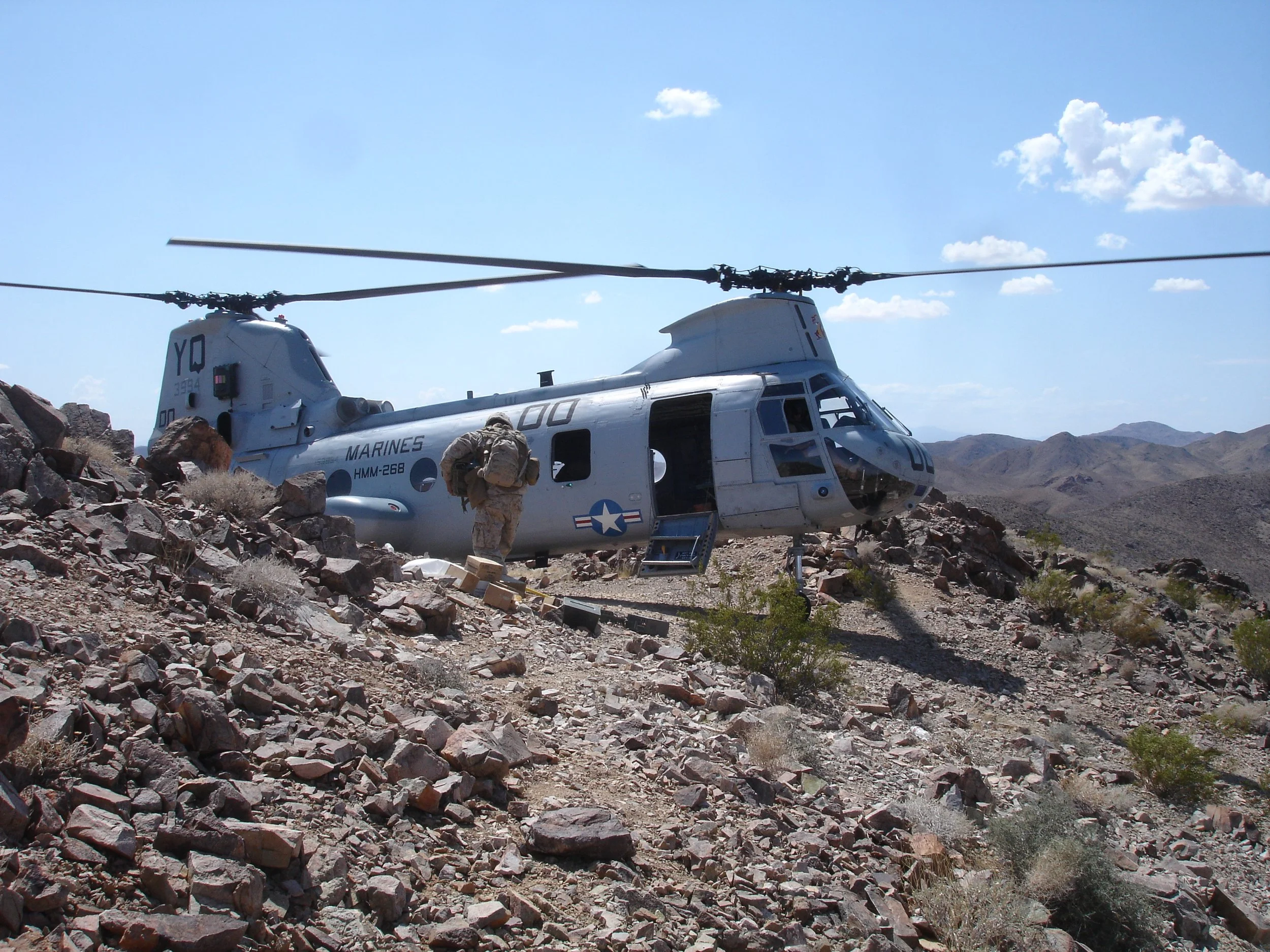 The Lions Deserve Better