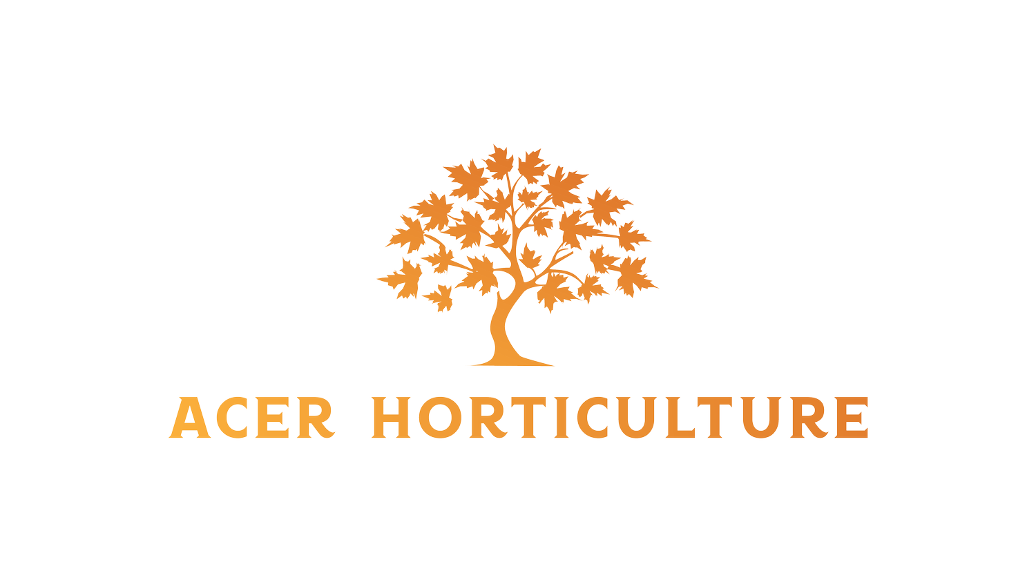 Acer Horticulture