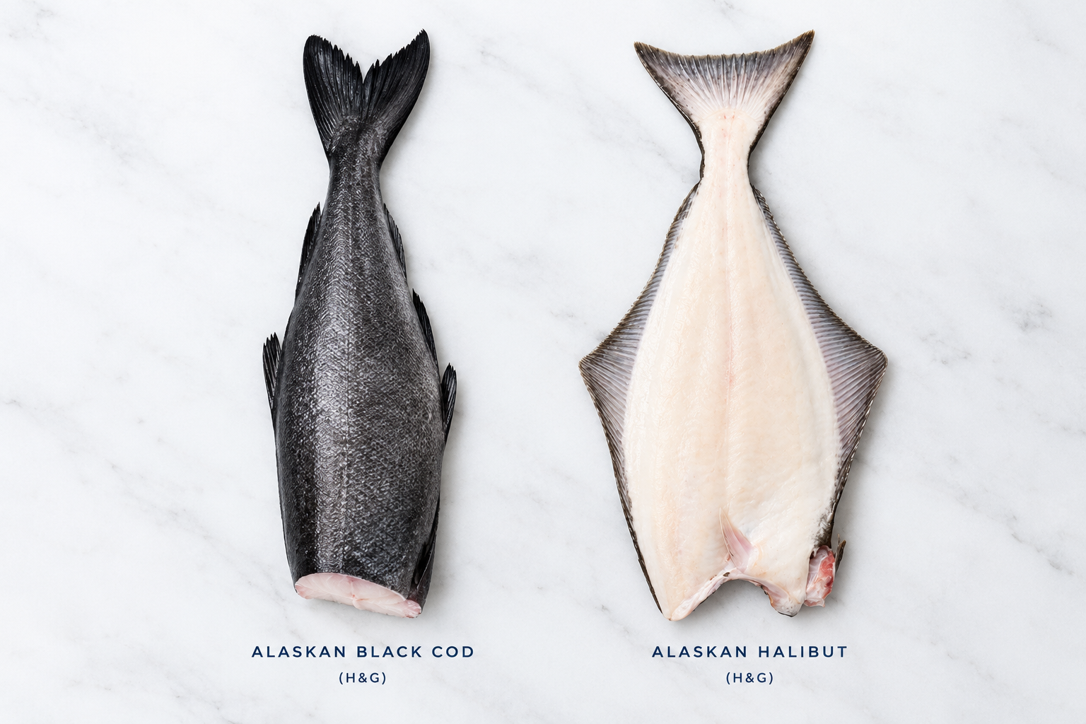 NEW ARRIVALS: Premium Alaskan Black Cod &amp; Halibut