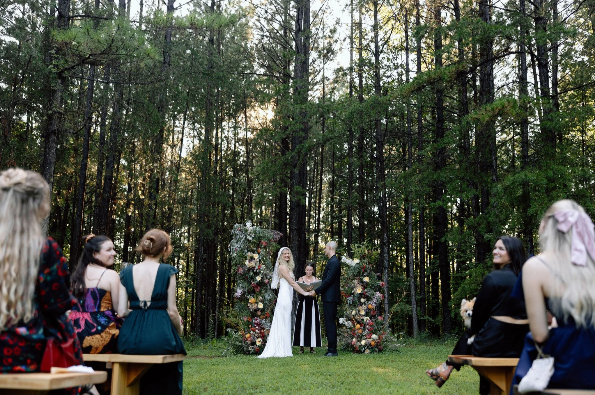 Screenshot 2026-02-17 at 5.37.16 PM.jpg