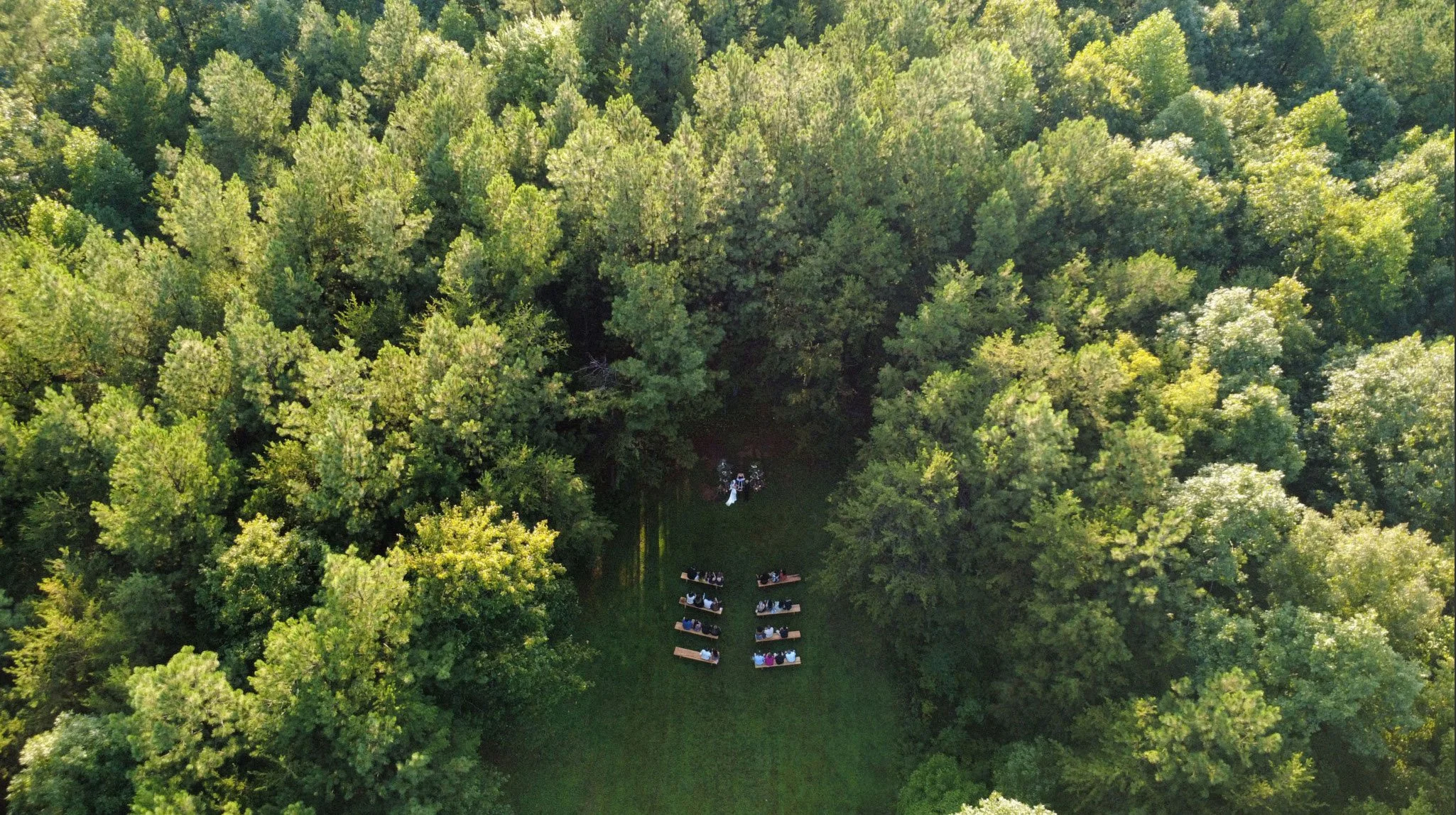 Screenshot 2026-02-17 at 5.36.03 PM.jpg