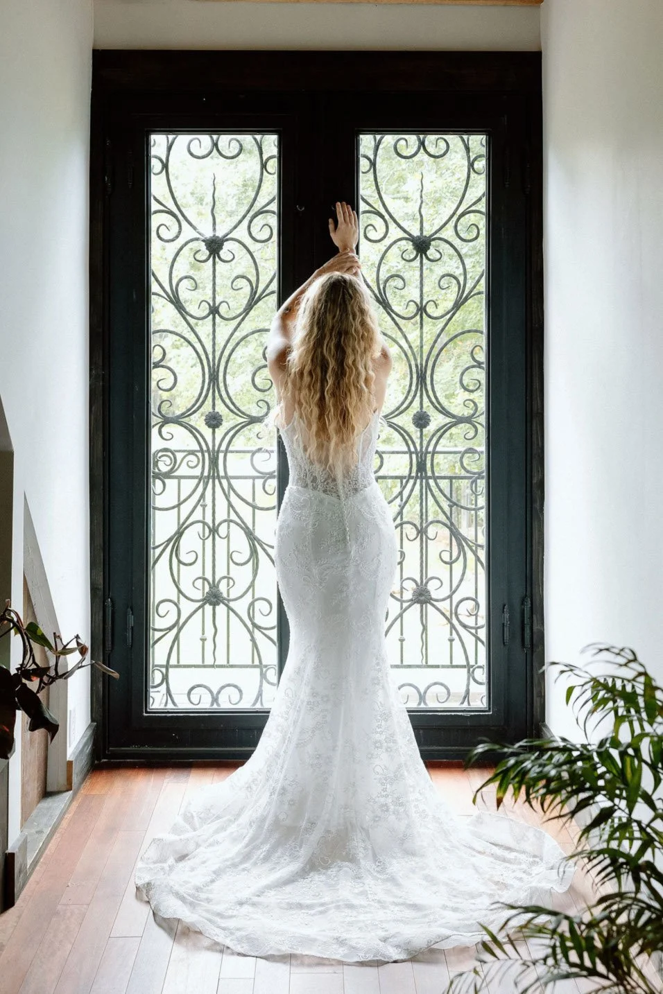 Screenshot 2026-02-17 at 5.27.57 PM.jpg