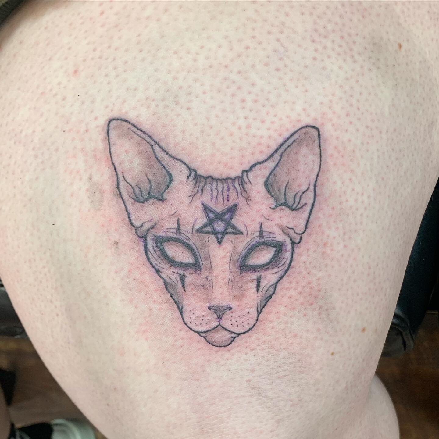 Spooky Sphynx 🙀 I have just a few spots left this year, send your inquiries via 🔗in bio
.
.
.
.
.
#tattoo #michigantattooartist #southeastmichigan #detroittattooartist #cattattoo #sphynx #sphynxcat #hairlesscat