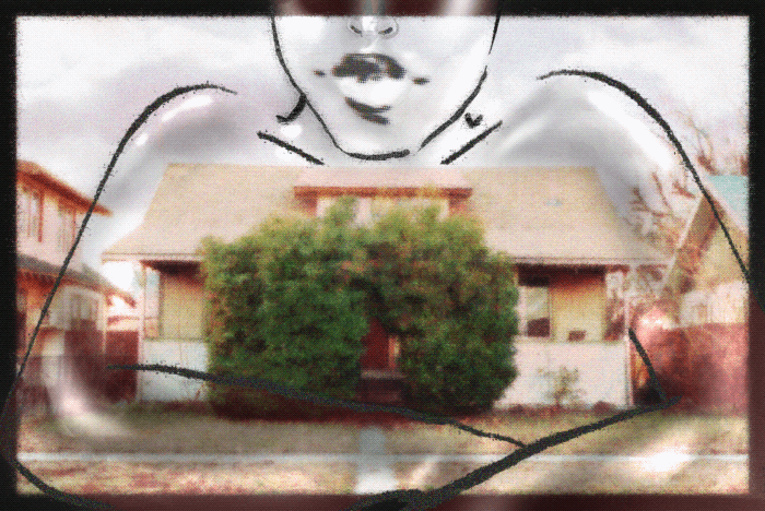 Untitled_Artwork 2.gif