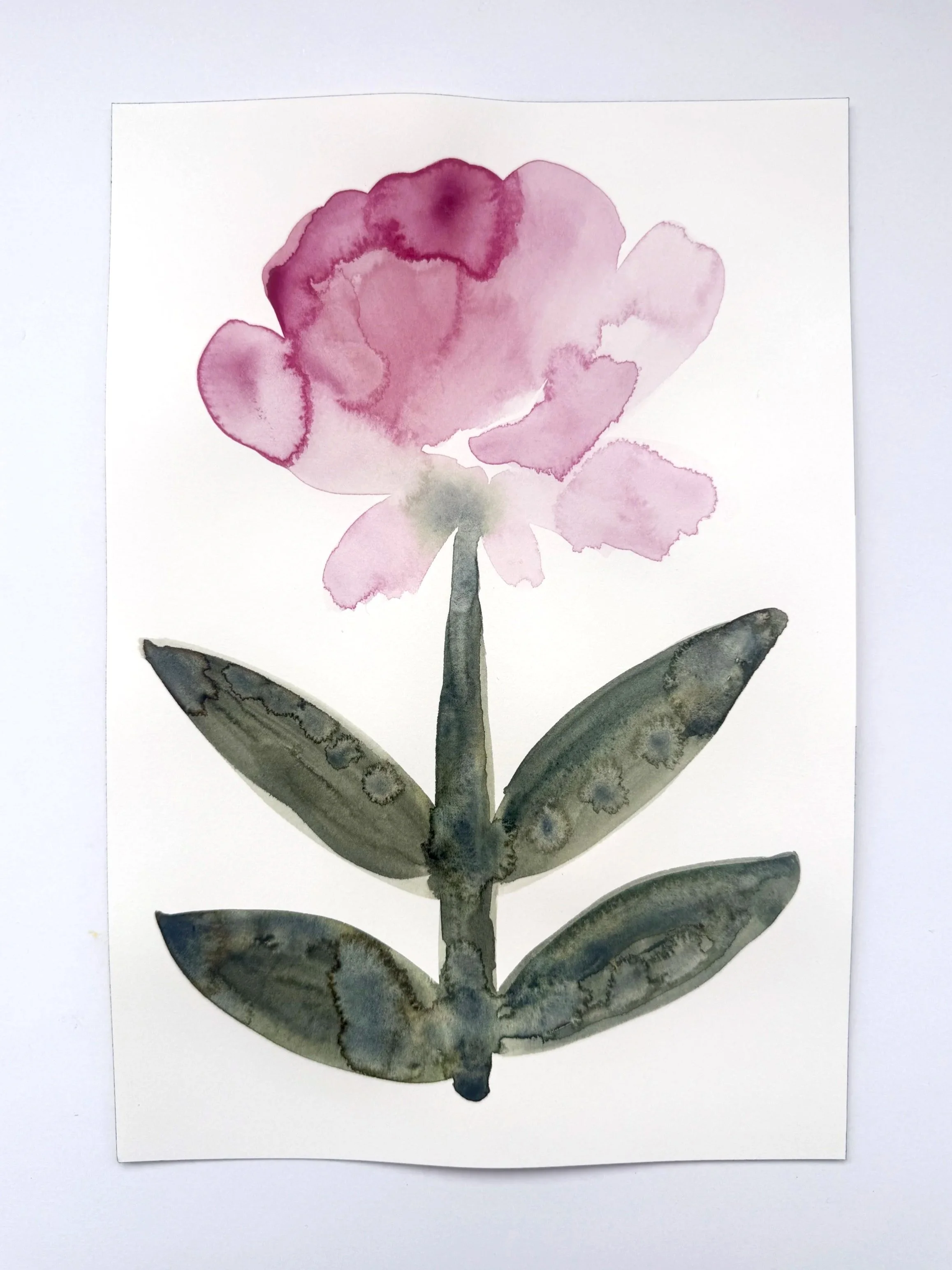 Peony 7"x10" watercolor on archival paper
