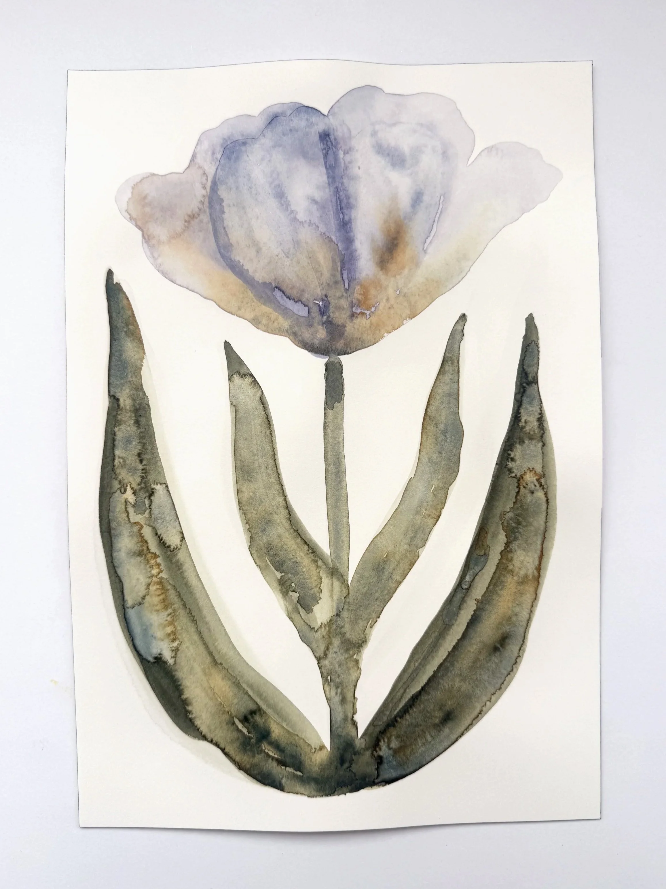 Crocus 7"x10" watercolor on archival paper