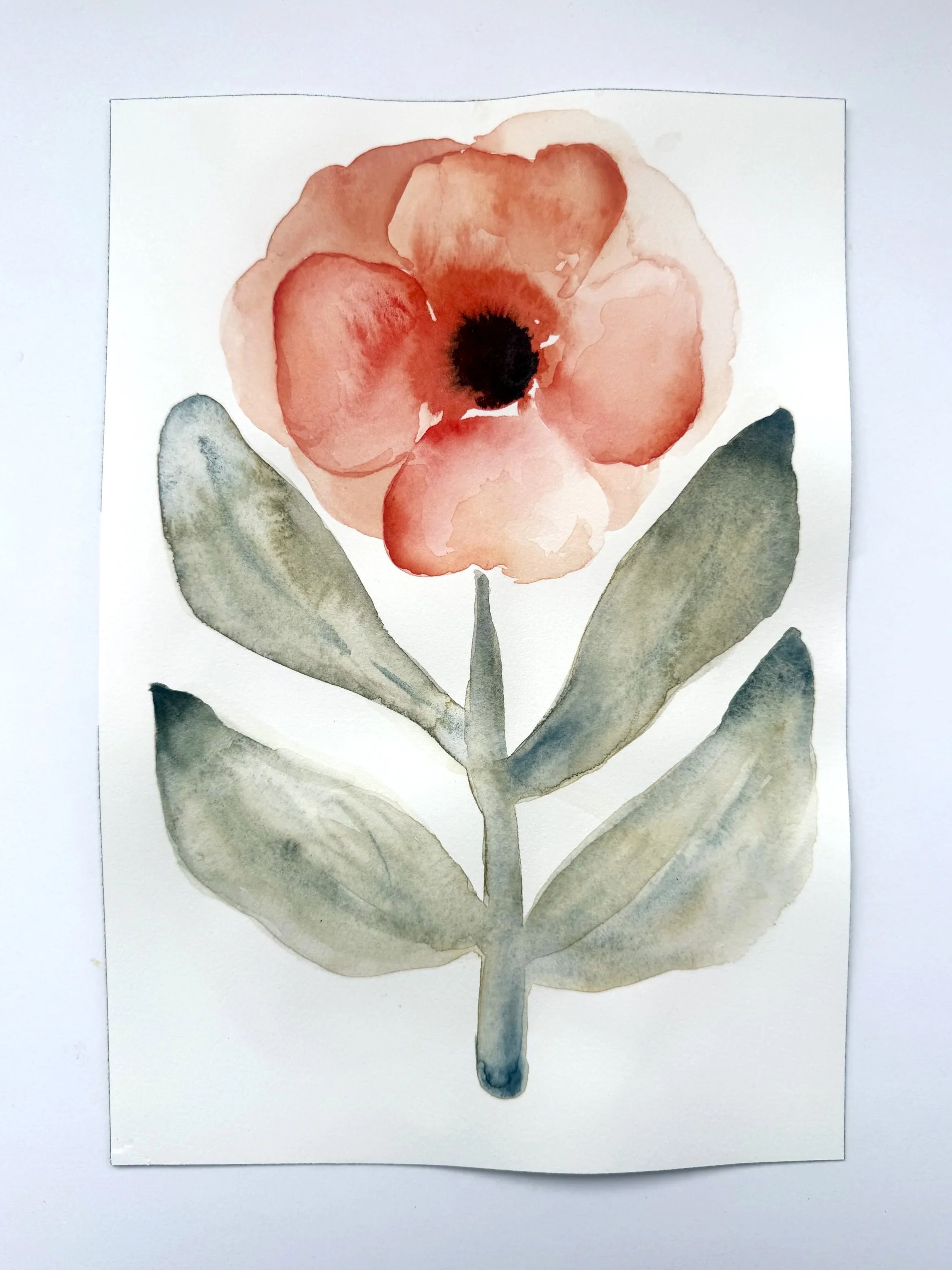 Poppy 7"x10" watercolor on archival paper