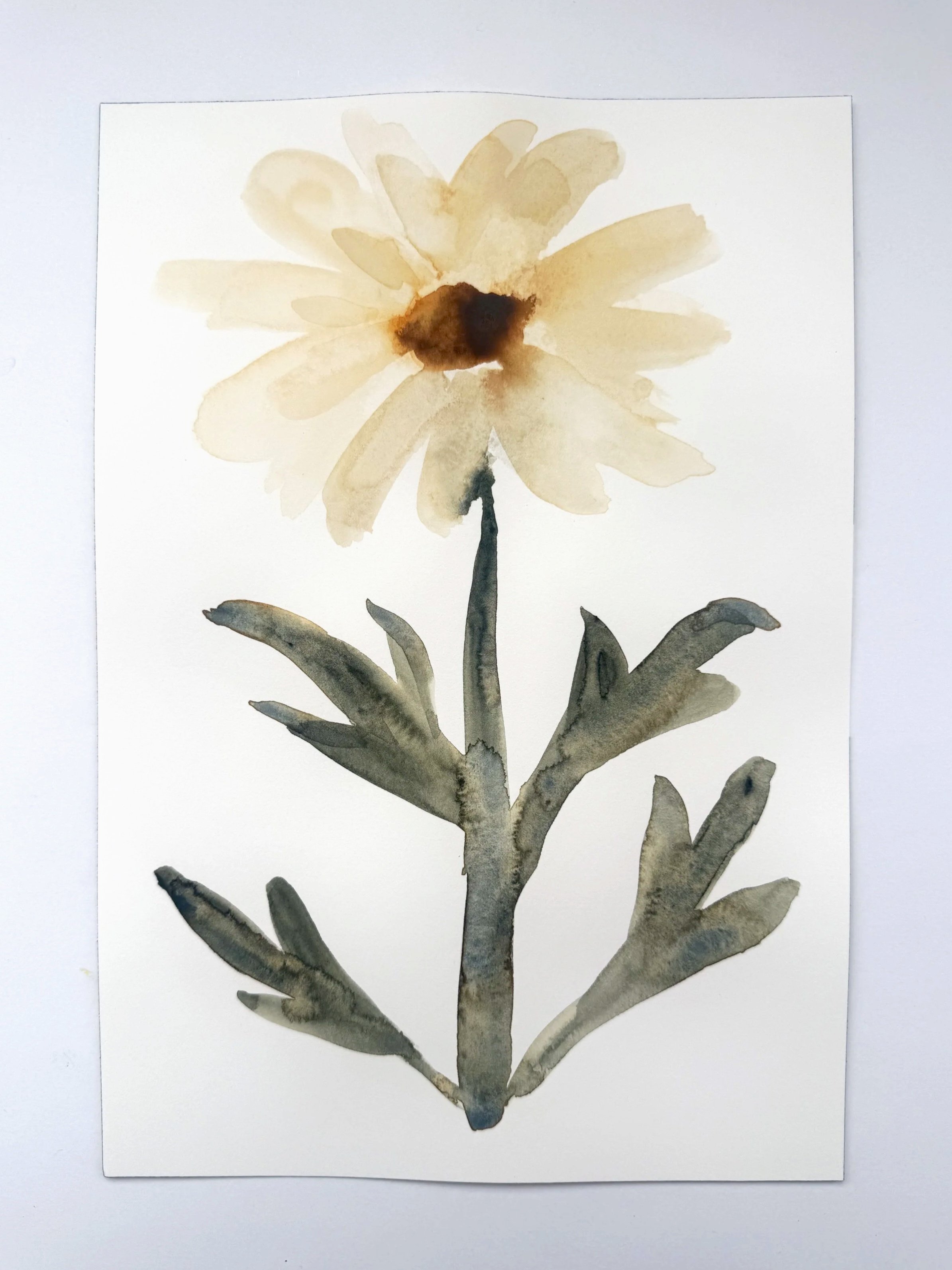 Gerbera 7"x10" watercolor on archival paper