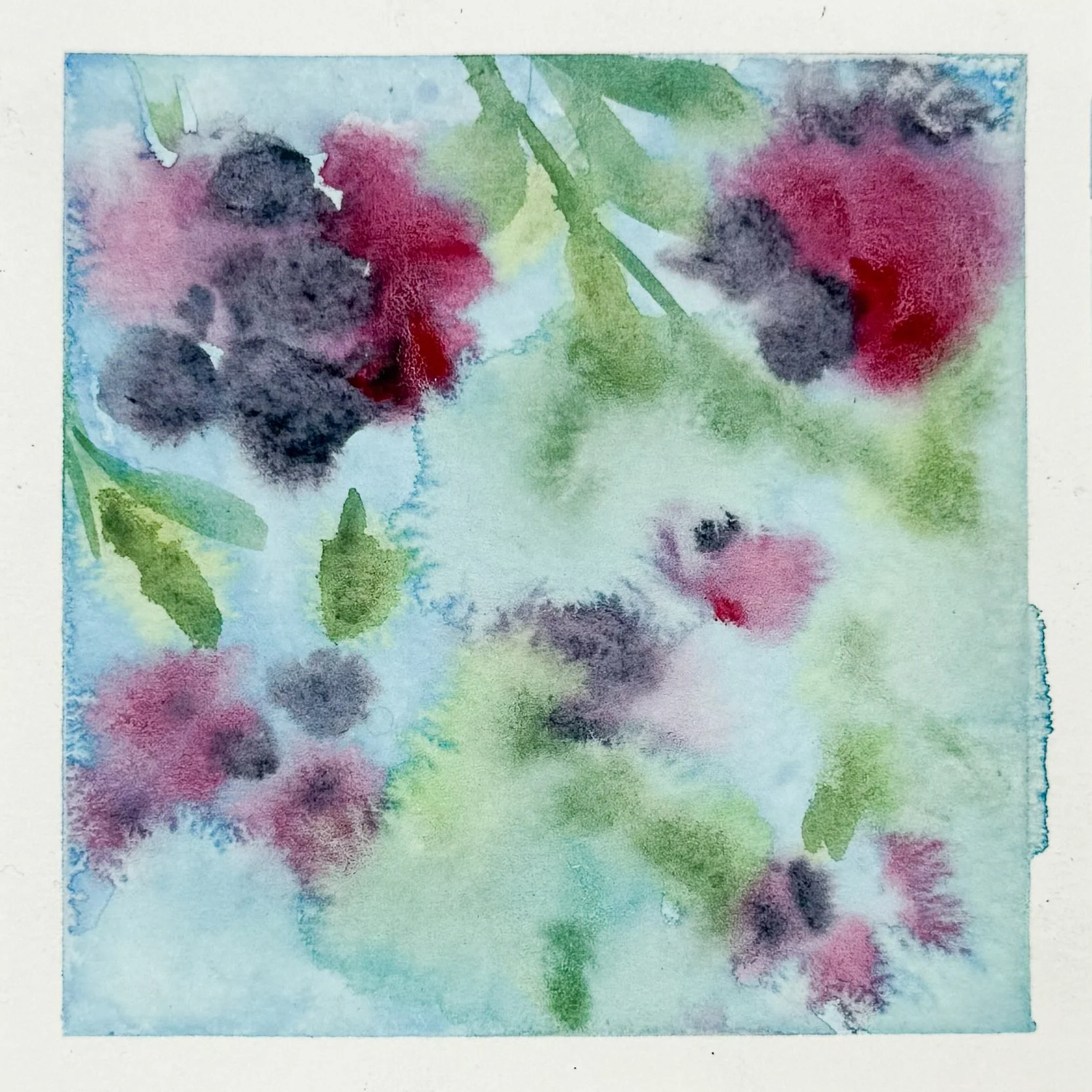 4"x4" watercolor on paper