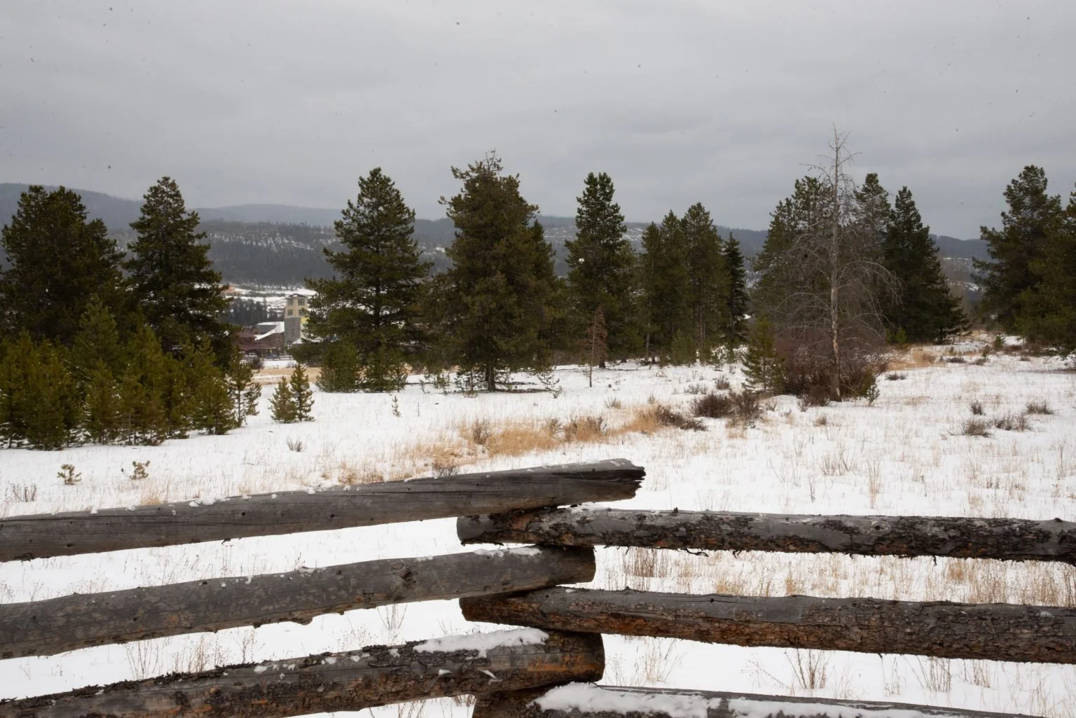 Fraser Wins Longstanding Battle to Protect Cozens Meadow