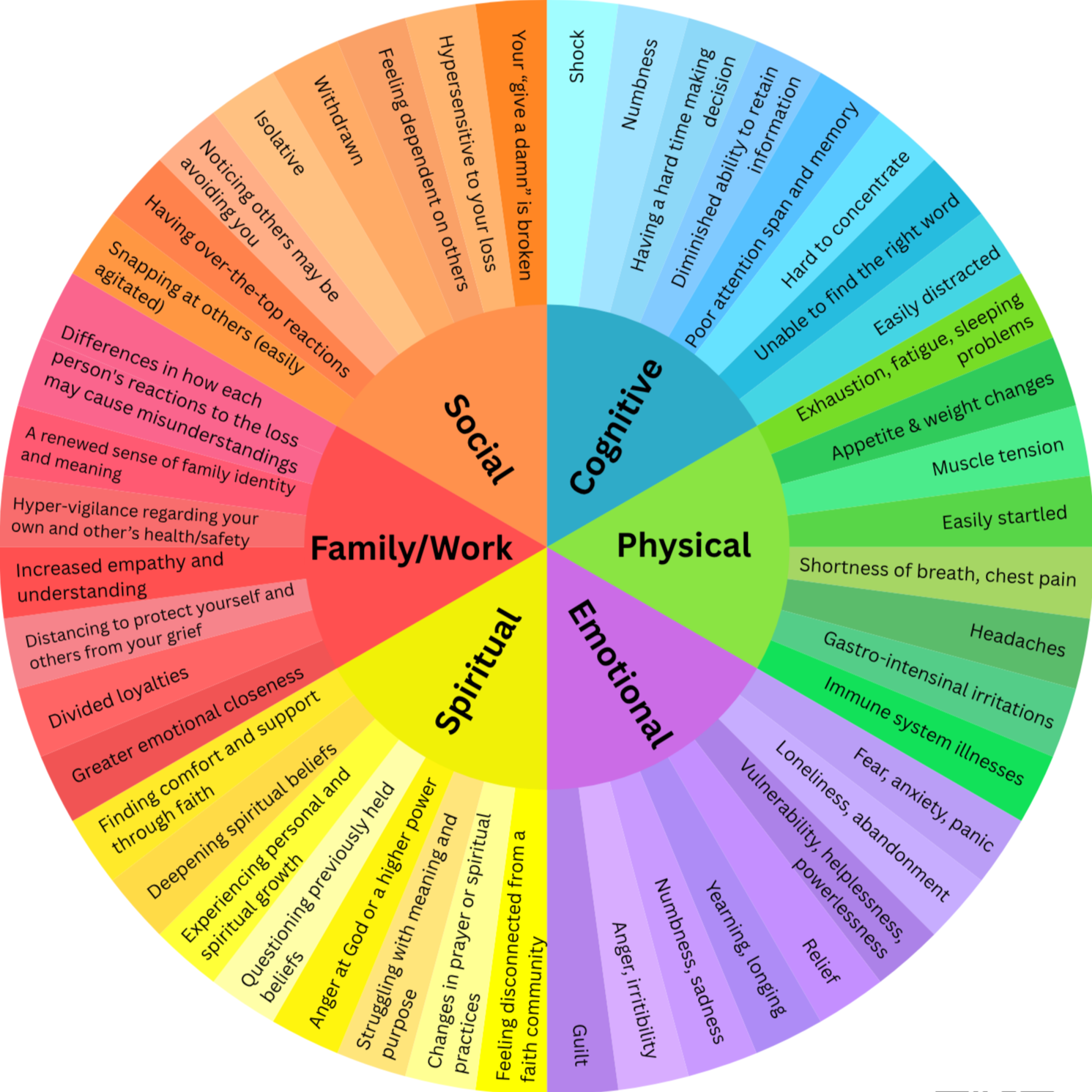 grief wheel showing social, cognitive, physical, family/work, spiritual, and emotional signs of grief and grieving