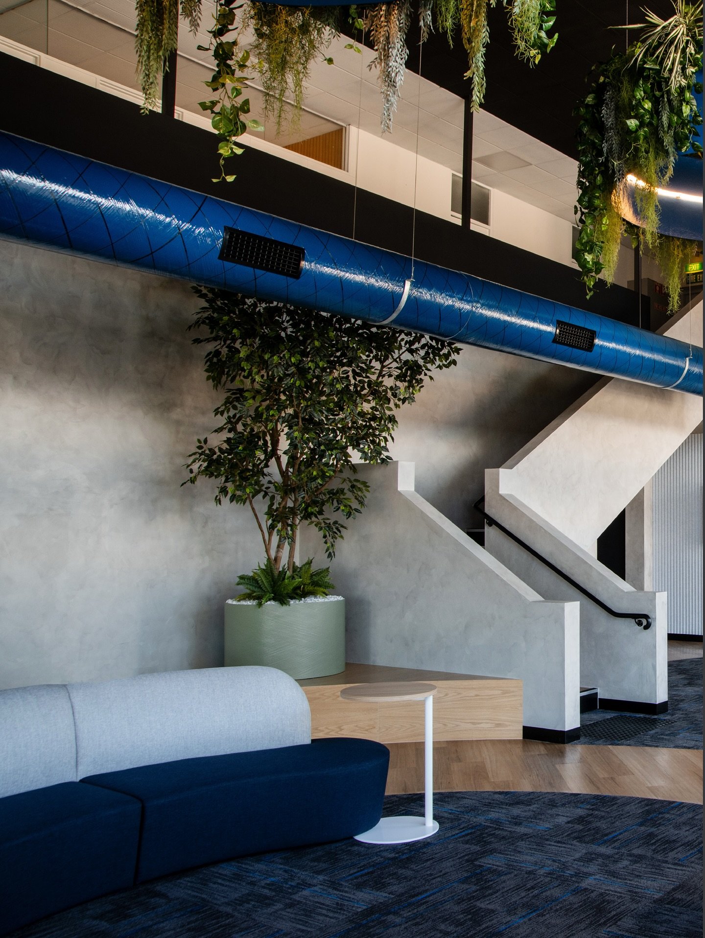 NOVAFAST HOLDINGS
We love to fit-out any office but this is especially true when they look like this! 🌿 Designed by @faculty_design this cool, edgy, urban jungle works wonderfully. The client&rsquo;s product is on show within custom blue AC pipe duc