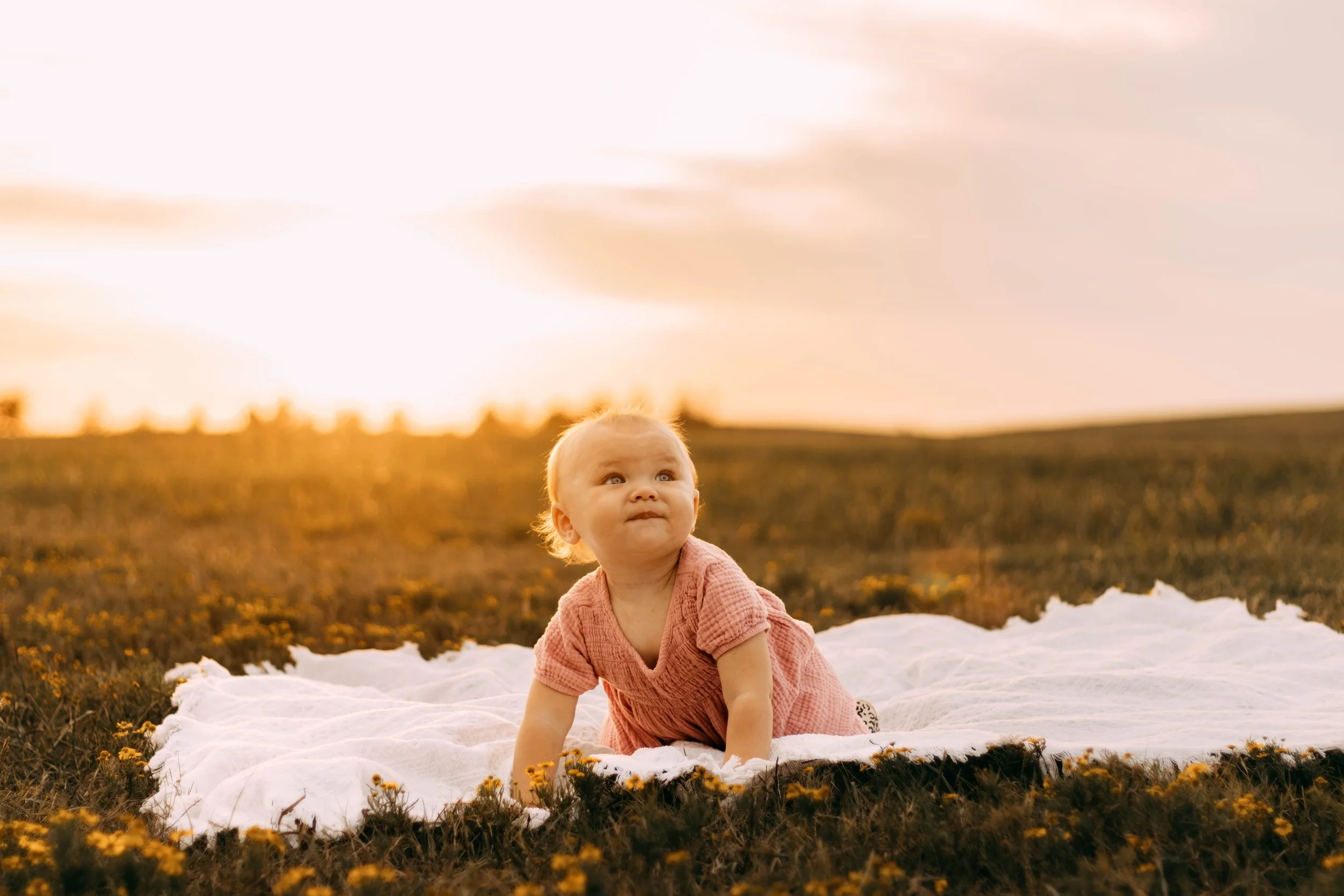 A baby in a pink dress crawling on a white blanket in a field of yellow flowers during sunset.