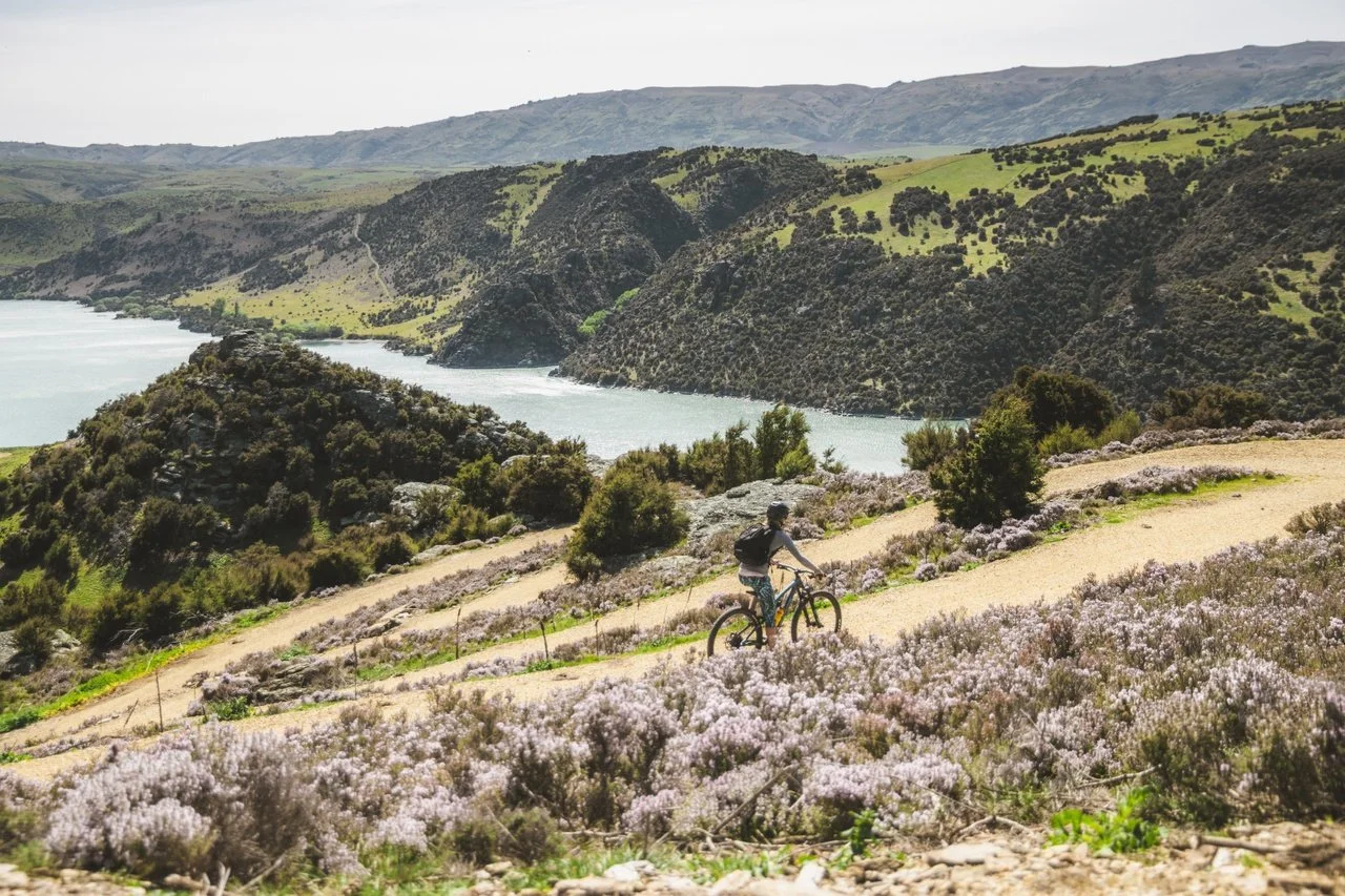 Roxburgh Gorge Trail — Kiwi Journeys