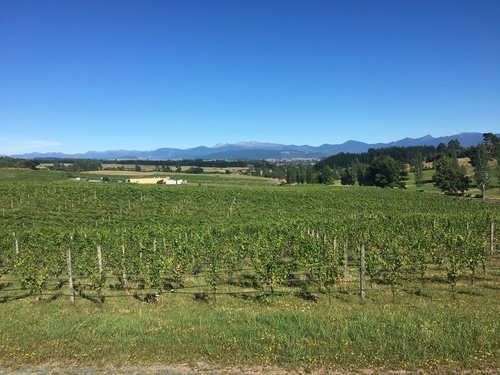 Moutere Hills Winery Tour - Guided