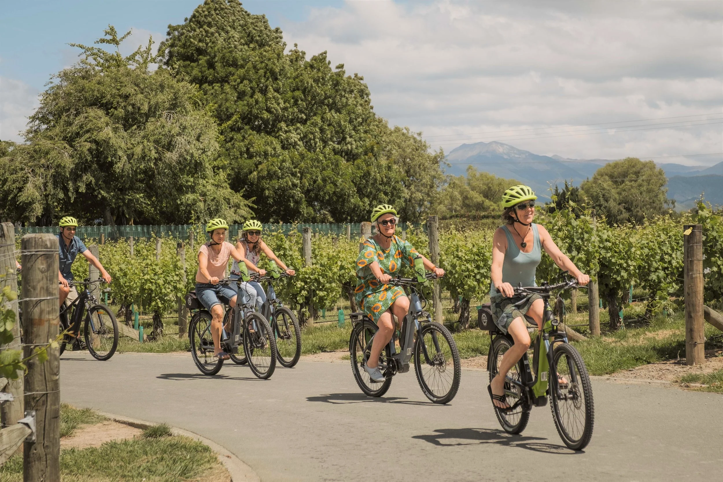 Great Taste Trail | One Day Self Guided Cycle Tour — Kiwi Journeys