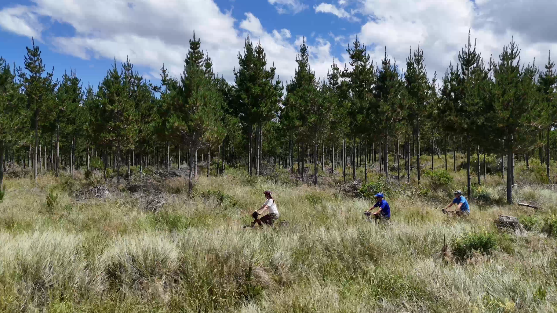 Shoot 25_Low res_Rabbit Island (2).png