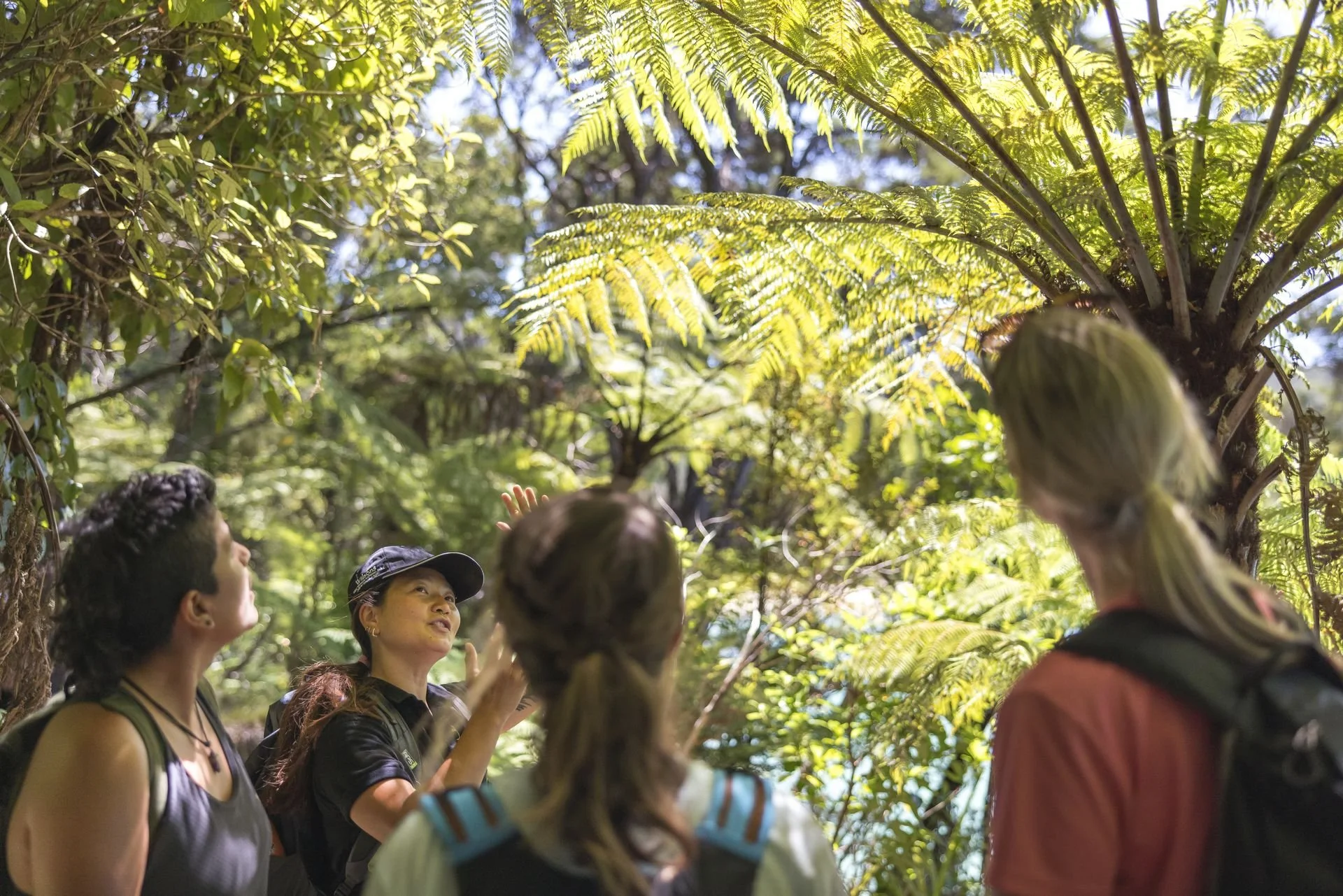 235219-abel-tasman-national-park-nelson-web-1920_Credit Miles Holden.jpg