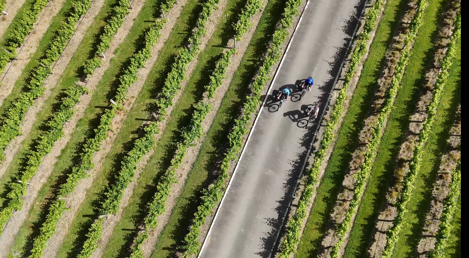 Shoot 25_Low res_Seifried Winery.png