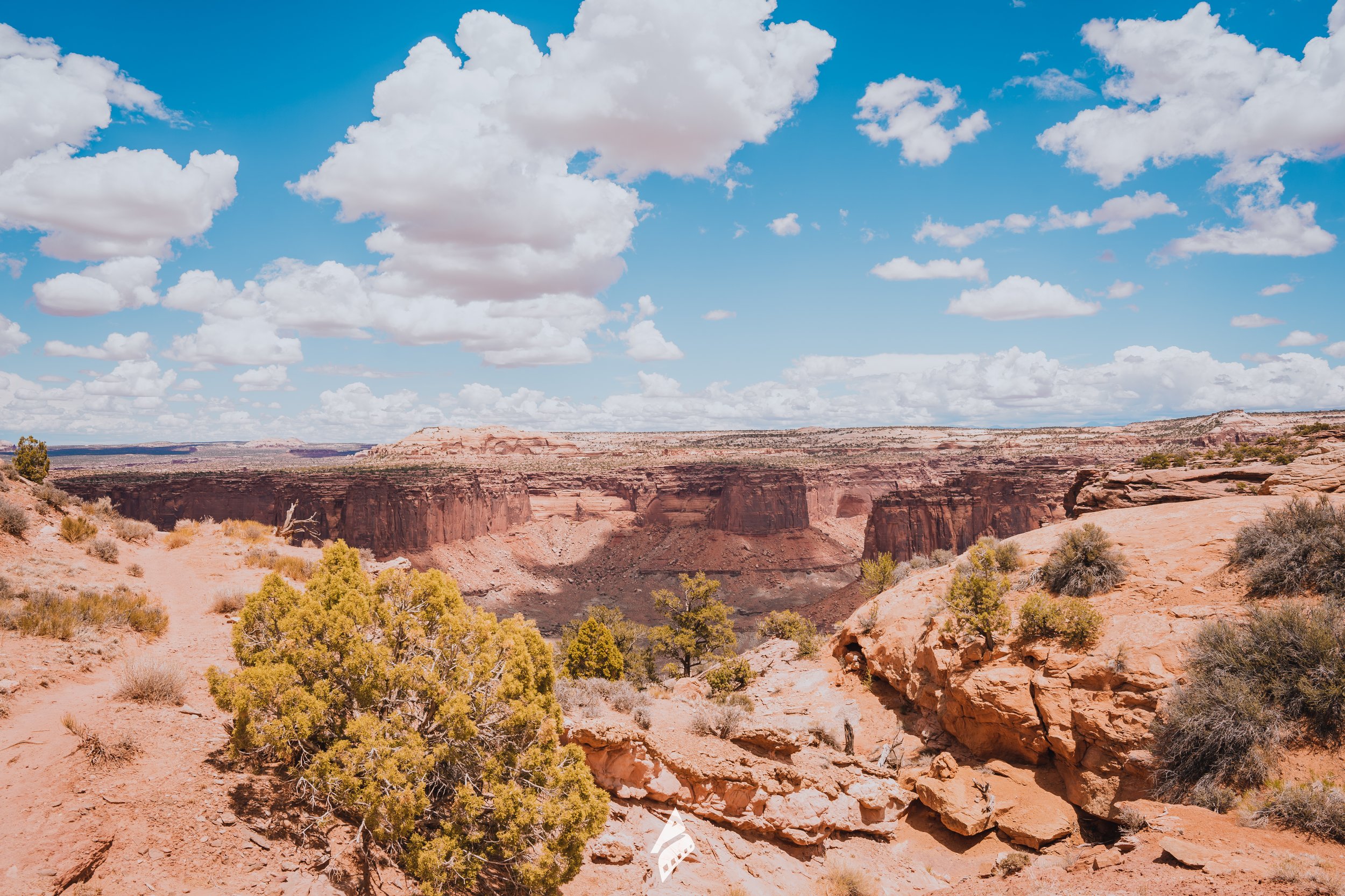 Nature Canyons Desert Overlook DSC02124.jpg