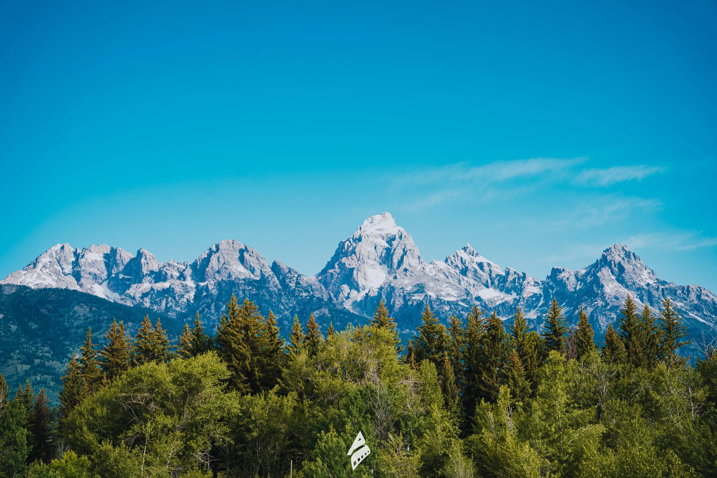 Nature Mountains Snowy Peaks And Pines DSC01570.jpg
