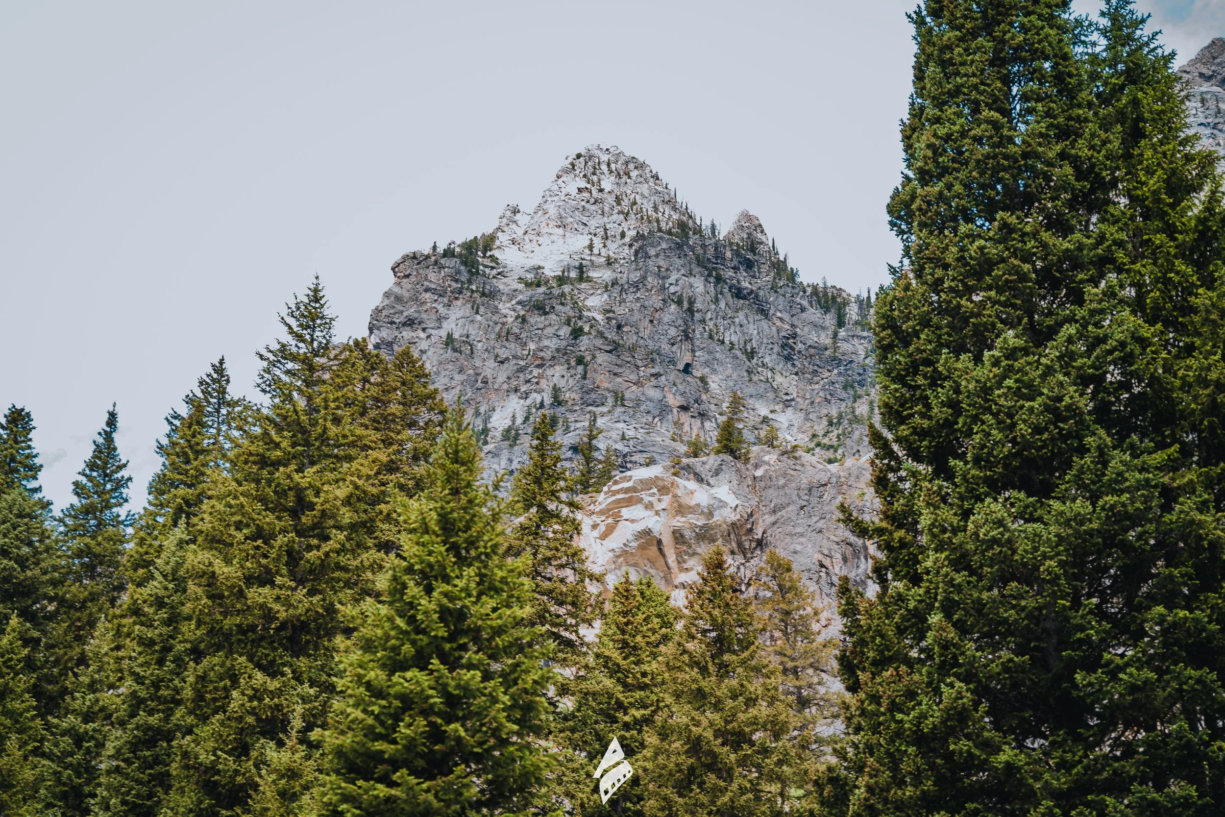 Nature Mountains Pine Forest And Rocky Peak DSC01670.jpg