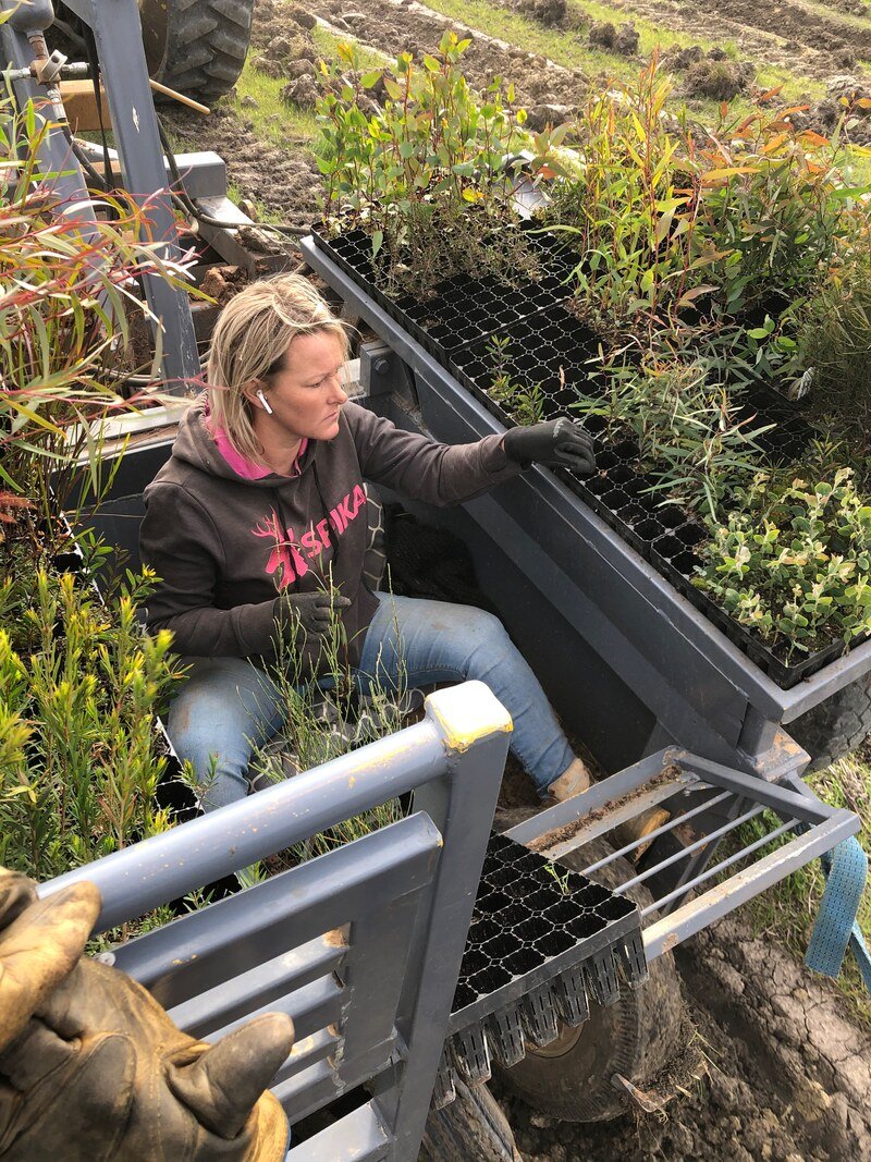 stacey-brooke-contract-planting.jpeg