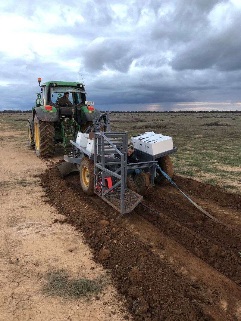 Tractor-planting-detail.jpeg