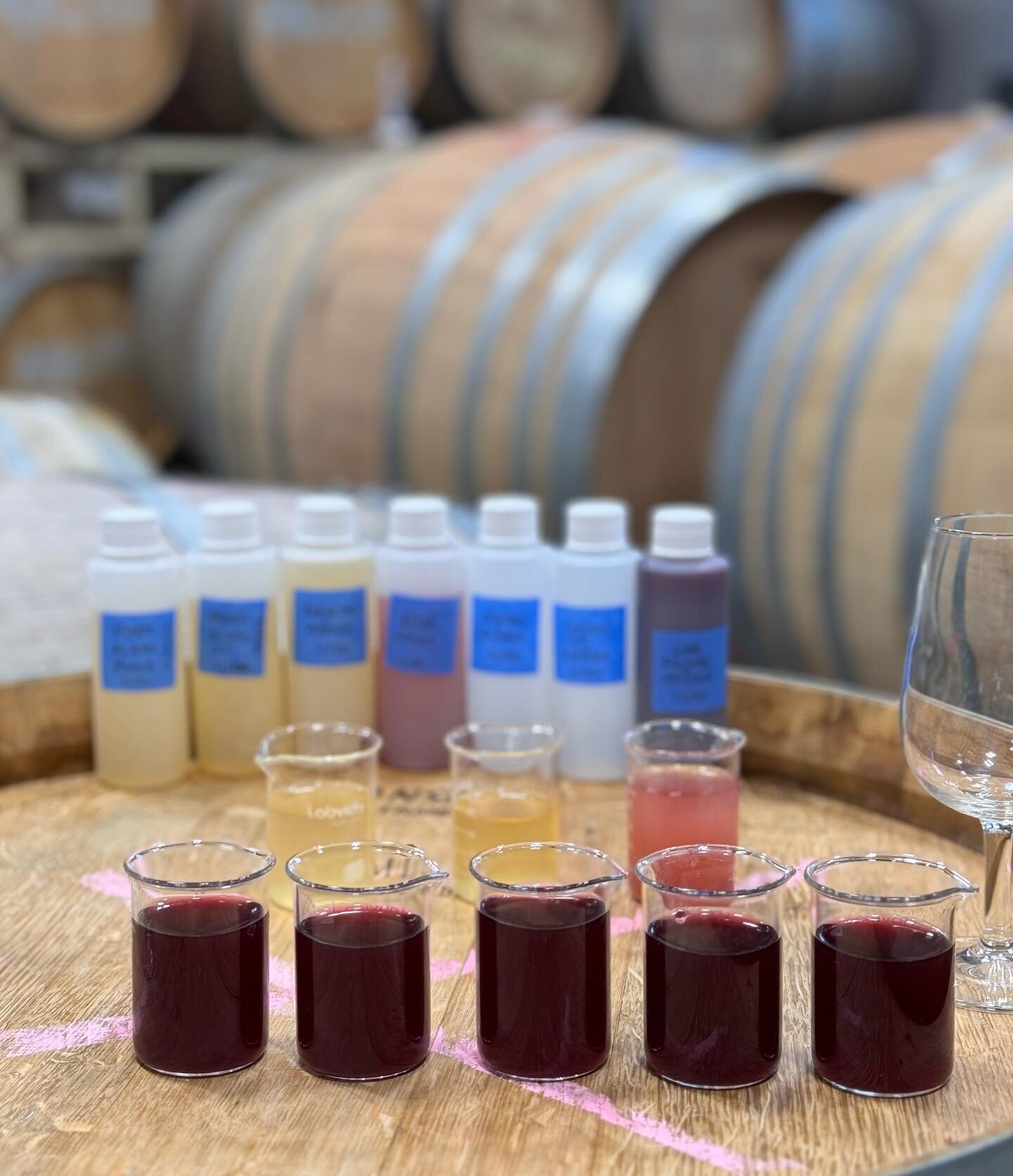 2023, our second vintage is currently being prepped for bottling in the Spring. As many of you know, last year was a rough one for the Okanagan grape growers and wineries, with a scary cold snap and fires. Despite it all, we are able to secure some d