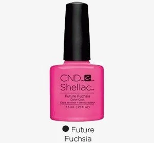 Future-Fuschia.jpg